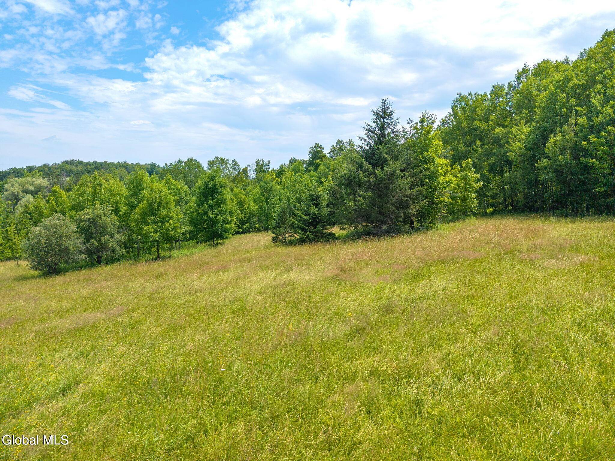 Sharon Springs, NY 13459,650 Mill Pond Road