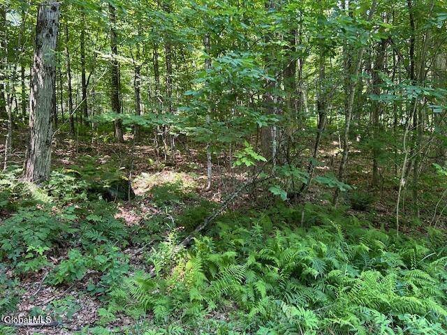 Johnsburg, NY 12843,79 Park Road