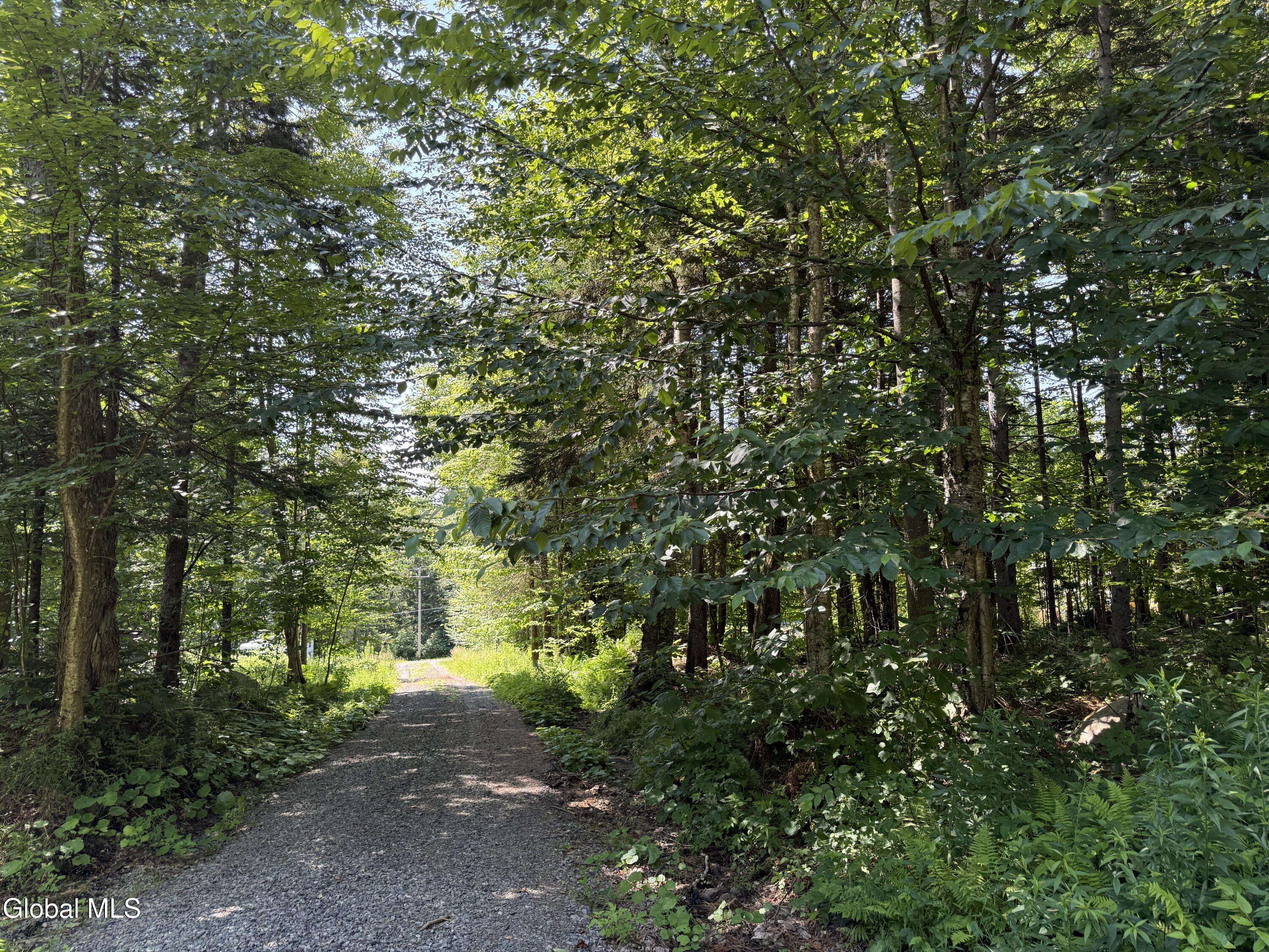 Lake Pleasant, NY 12108,120 Jim's Hill Road