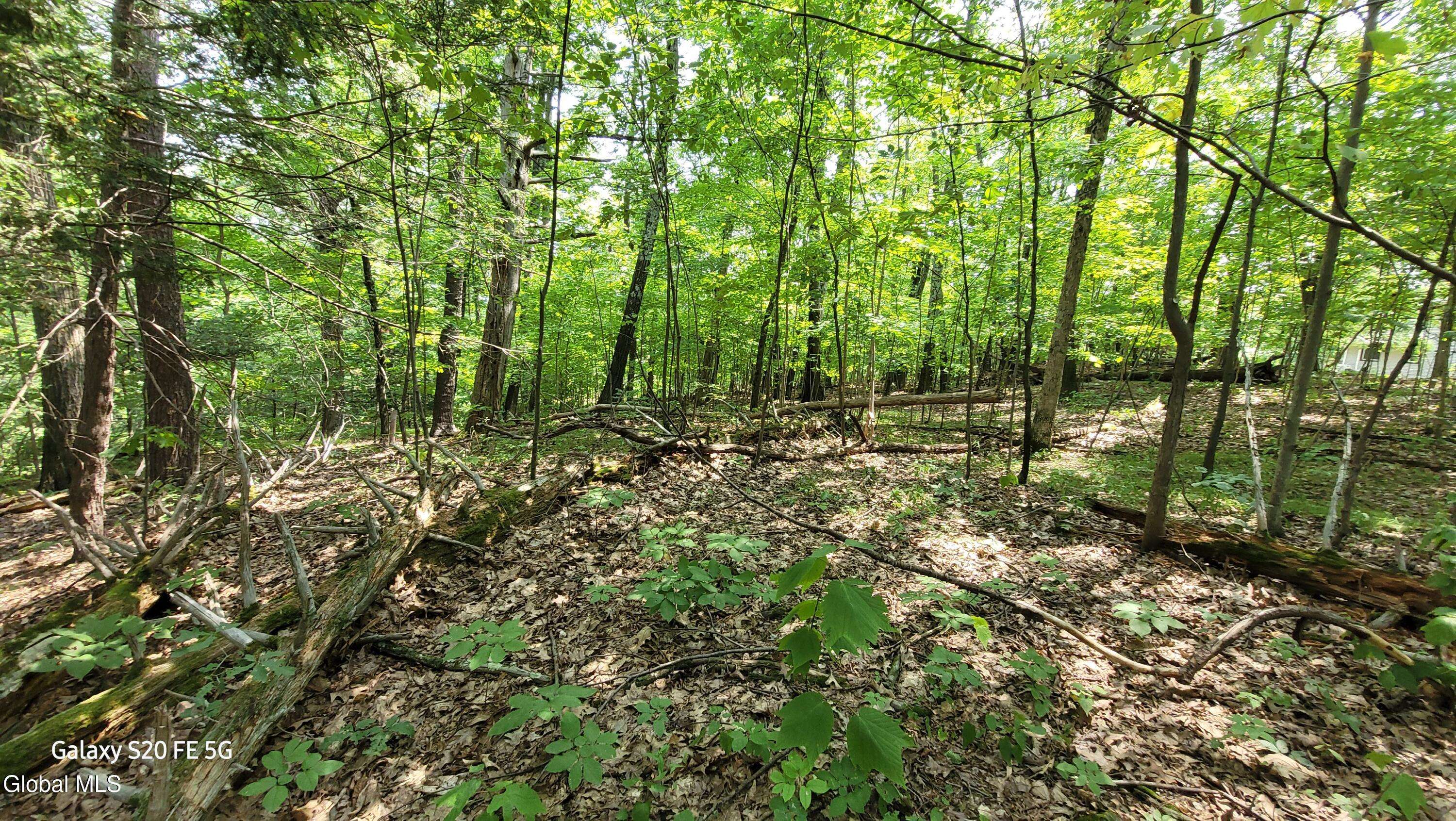 Saugerties, NY 12477,50 Finger Hill Road