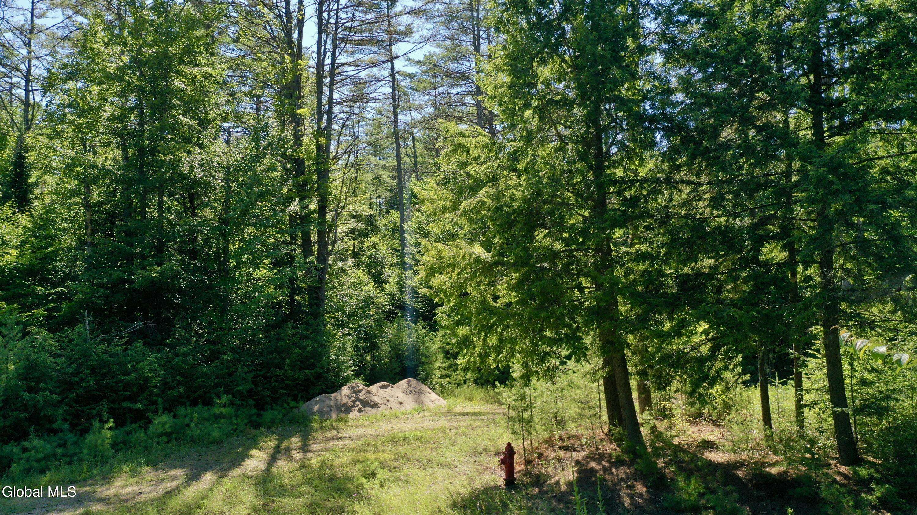 Johnsburg, NY 12853,49 The Woods