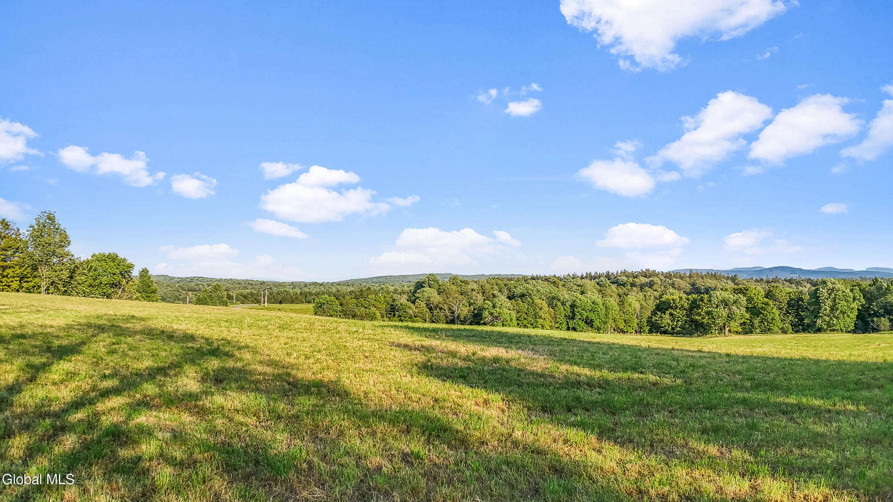 Jefferson, NY 12093,153 Stone Ridge Drive