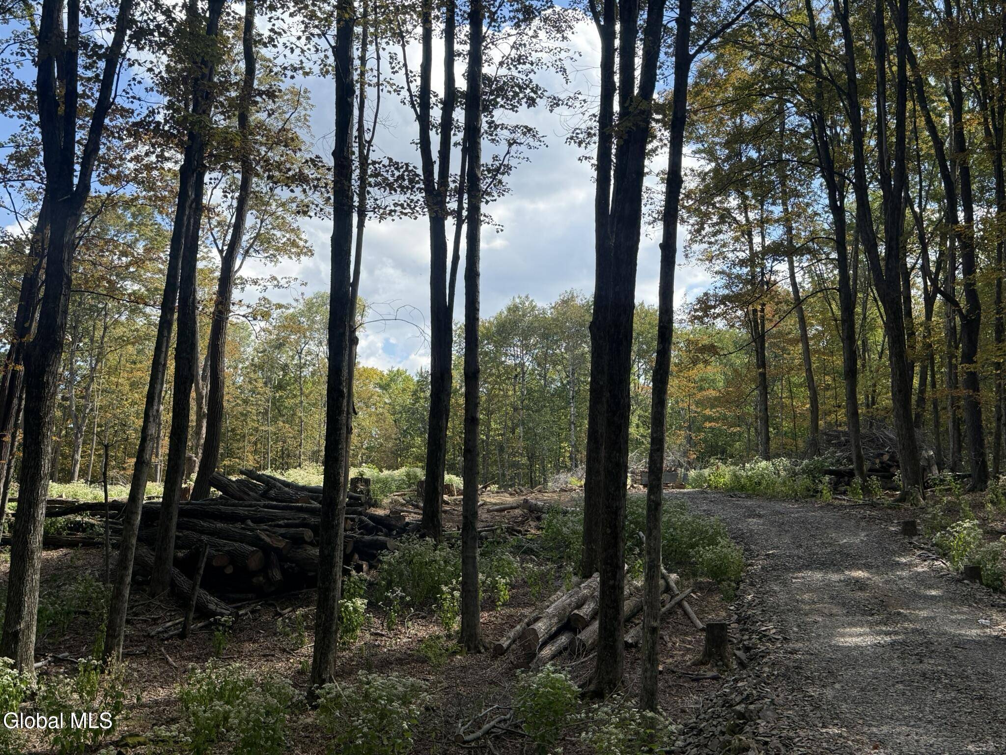 Westerlo, NY 12193,L3.22 Clickman Road