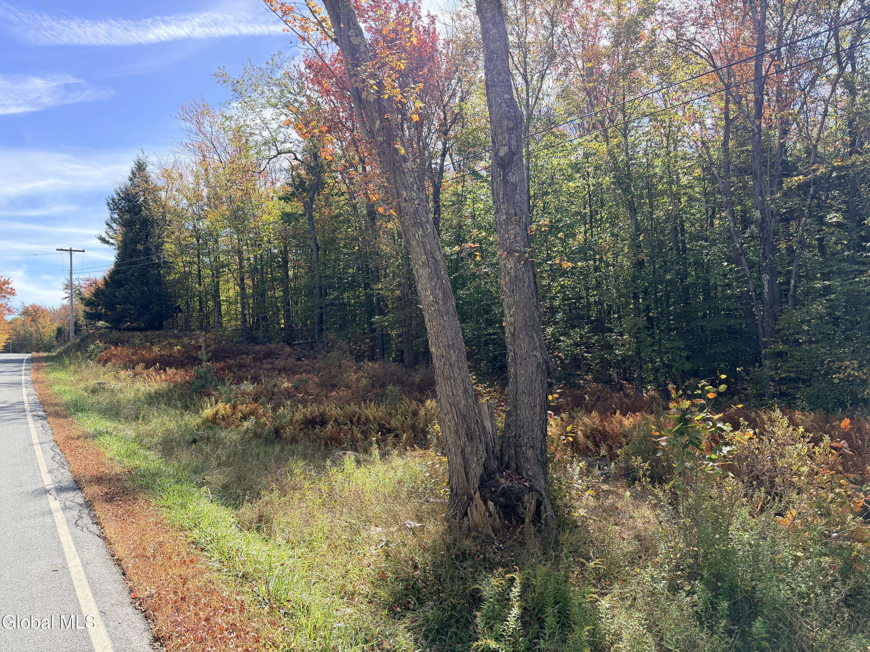 Grafton, NY 12138,L25.12 Taconic Lake Road