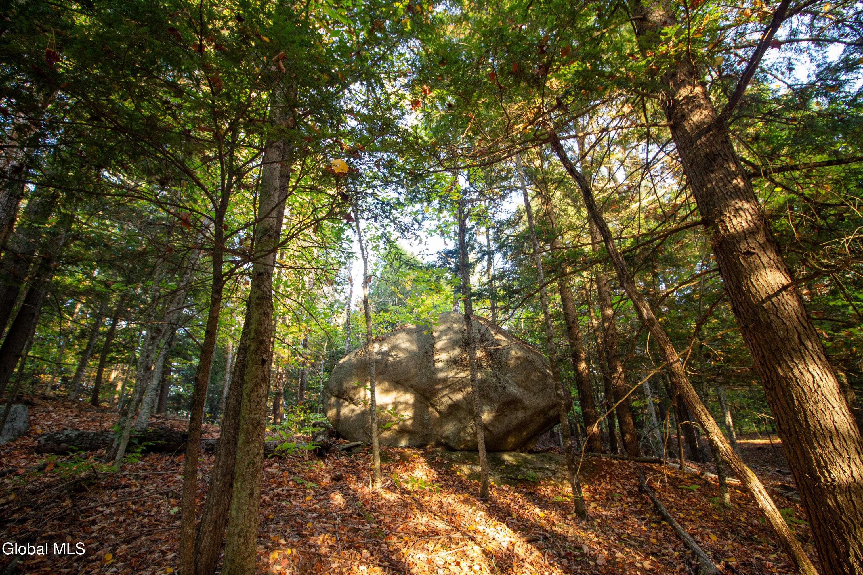 Chester, NY 12853,L28 State Route 28N