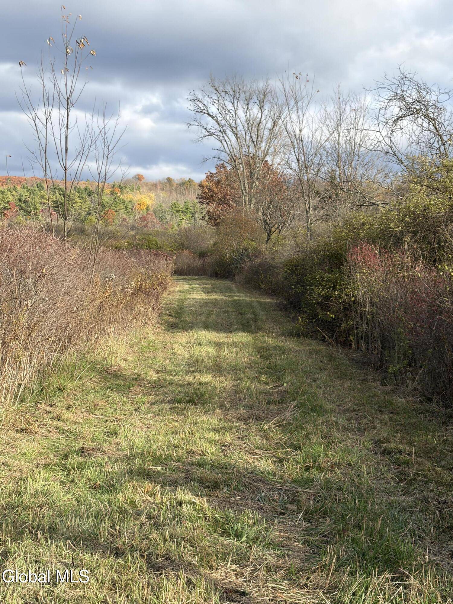 Whitehall, NY 12887,39 Valley View Way