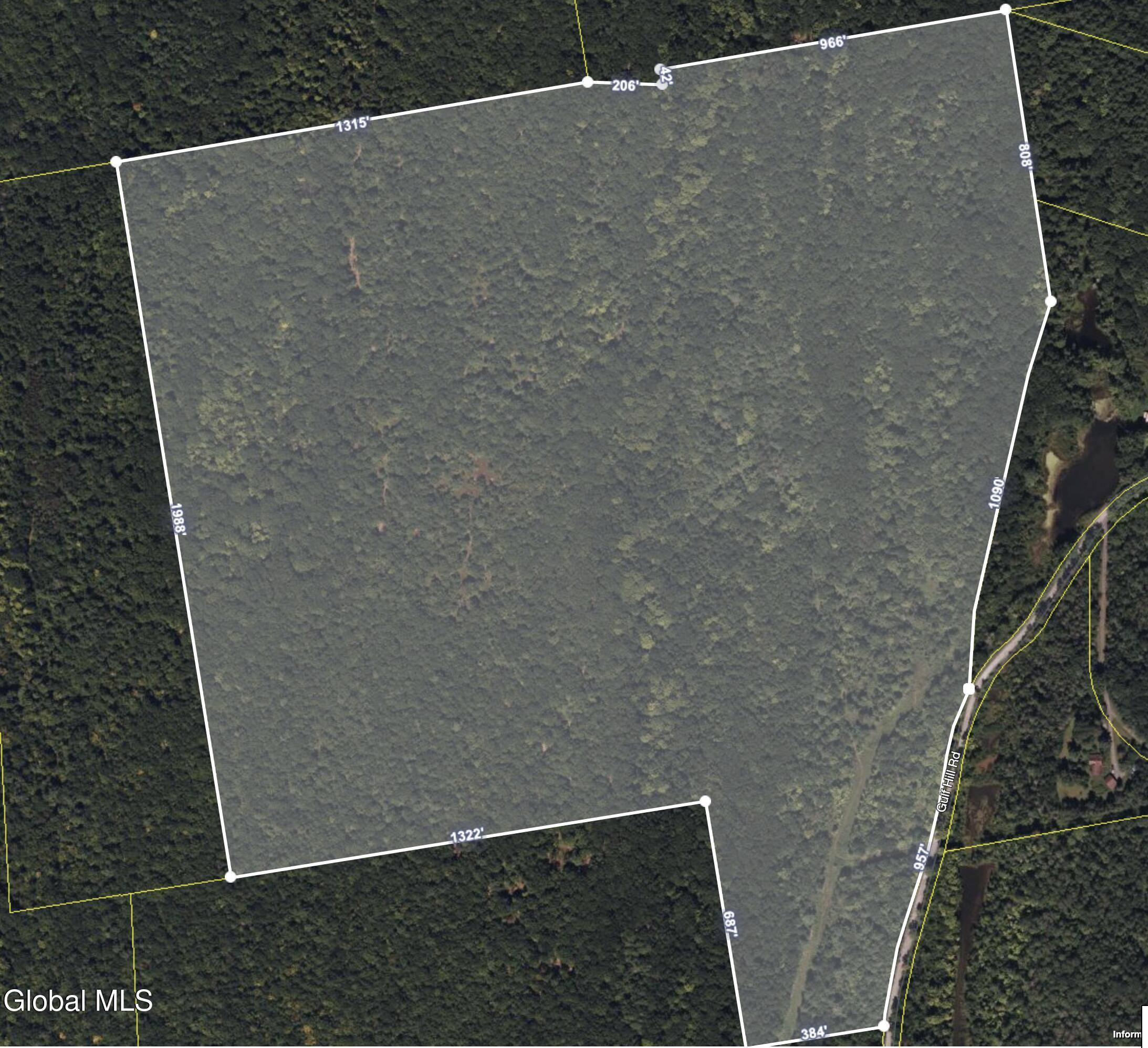 Berne, NY 12059,L31 Gulf Hill Road