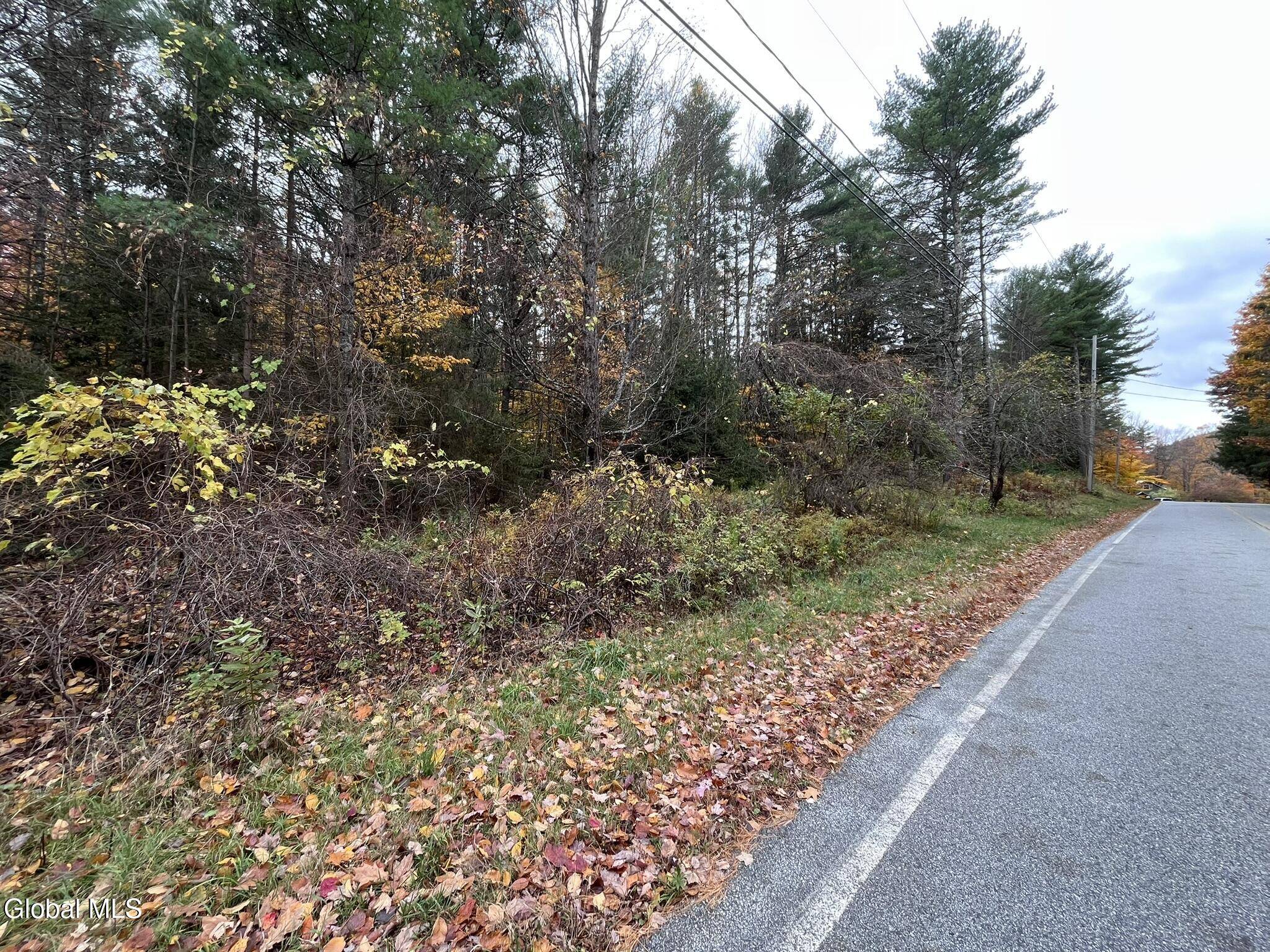 Lake George, NY 12845,L35 Truesdale Hill Road