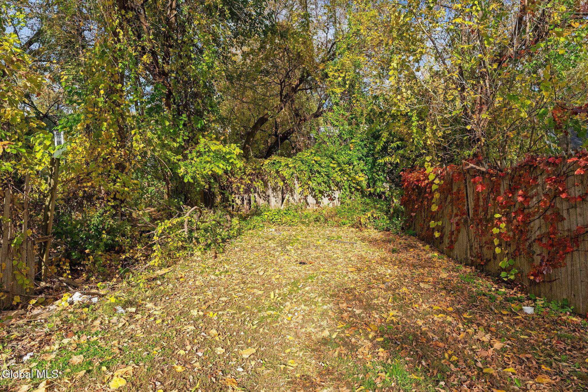 Albany, NY 12206,287 1st Street