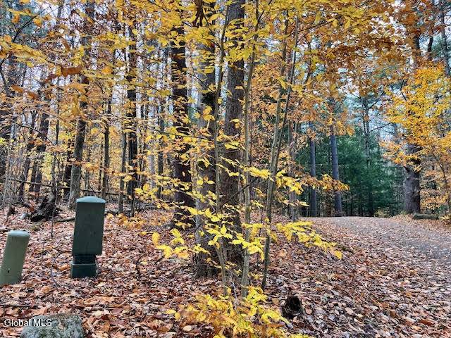 Bolton, NY 12814,54 Woods Hollow Drive