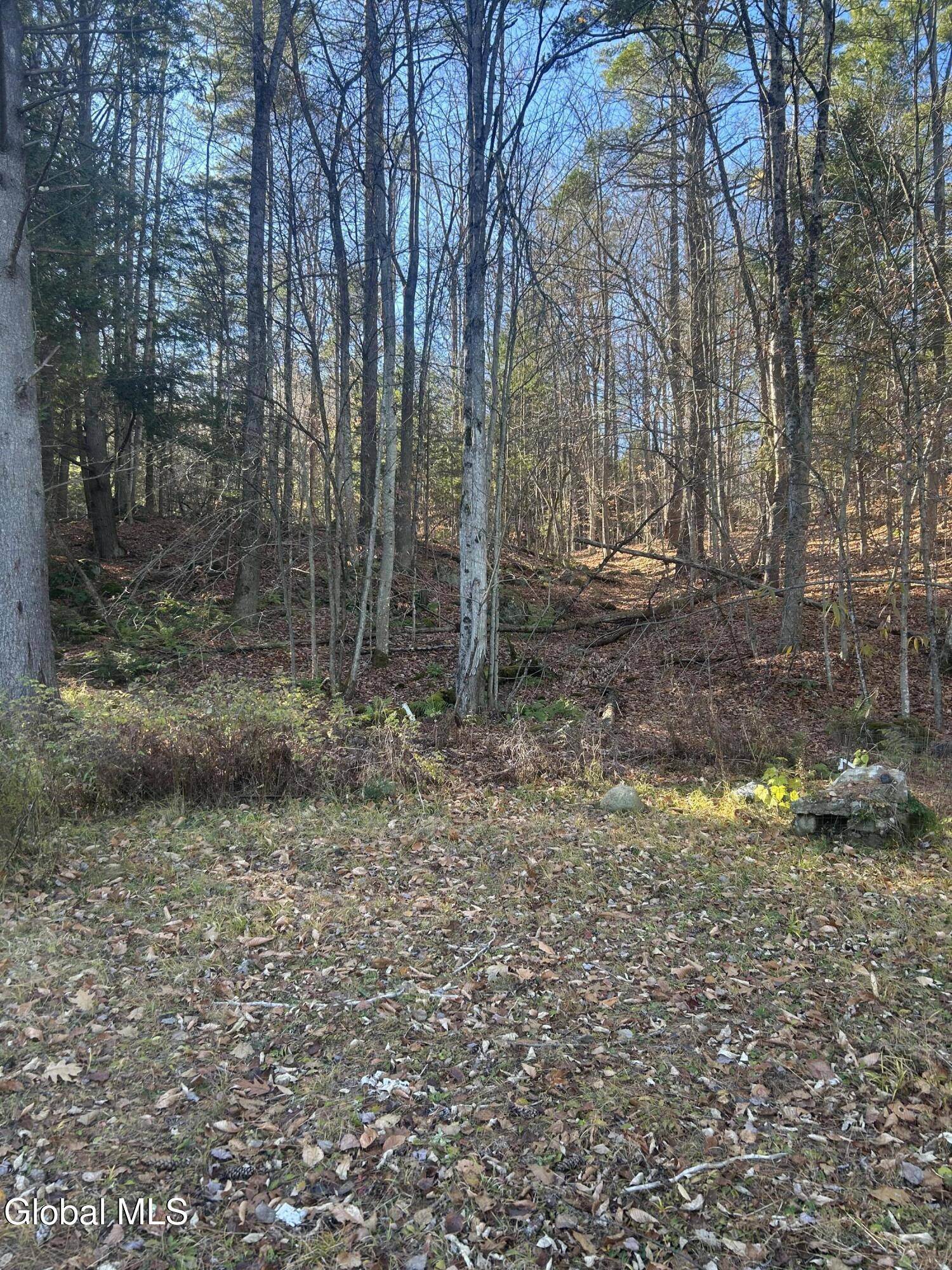 Johnsburg, NY 12853,3733 State Route 28