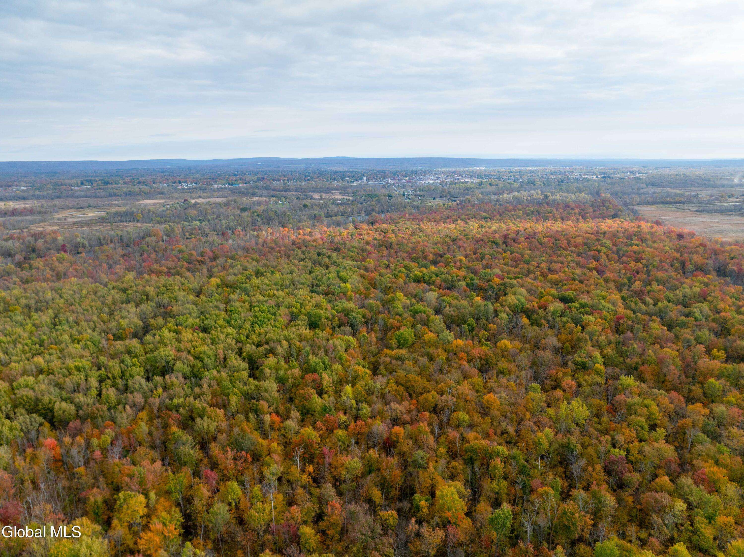 Rome, NY 13440,L11 James Street