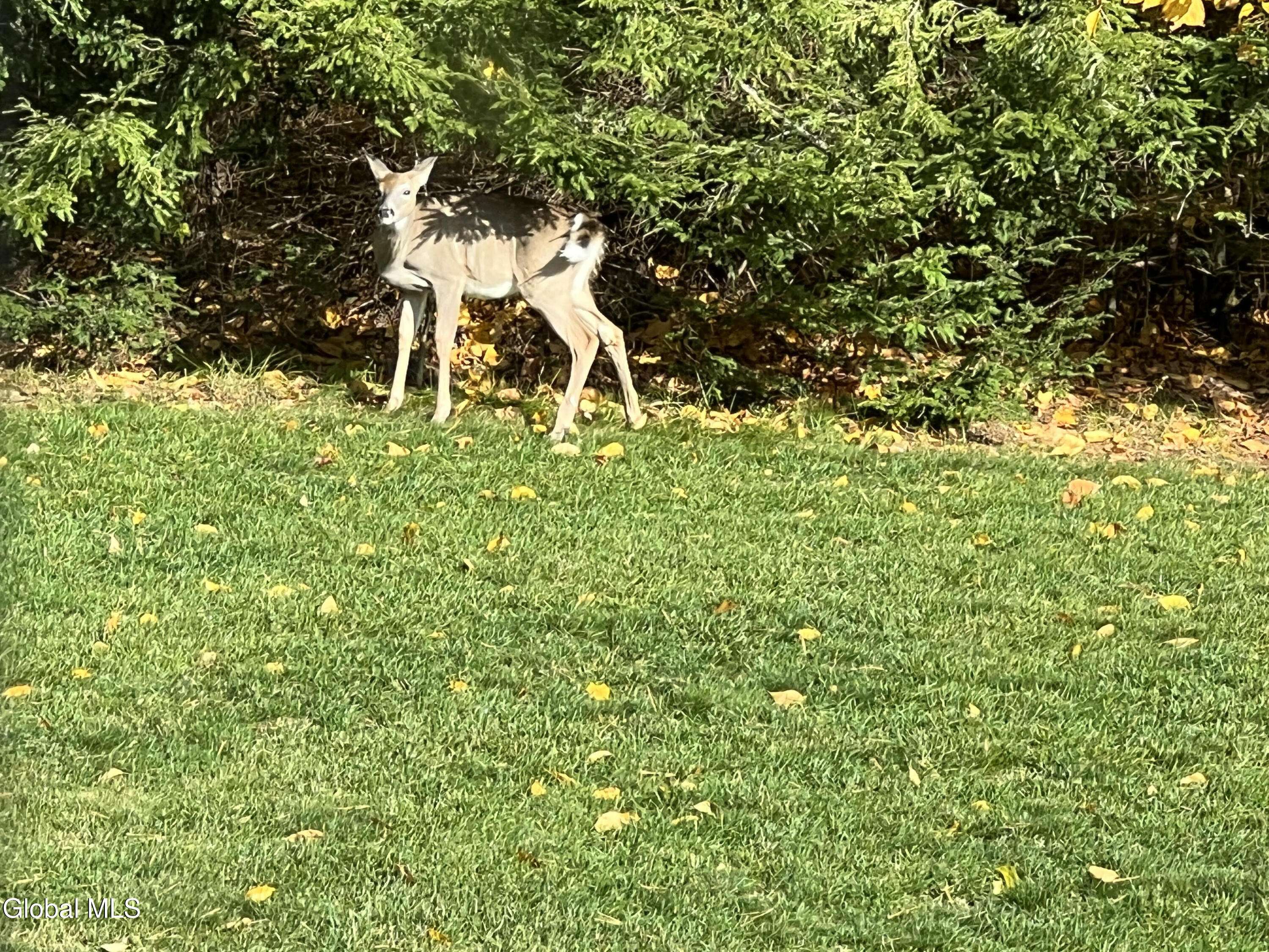 Lake Luzerne, NY 12846,0 Scofield Road