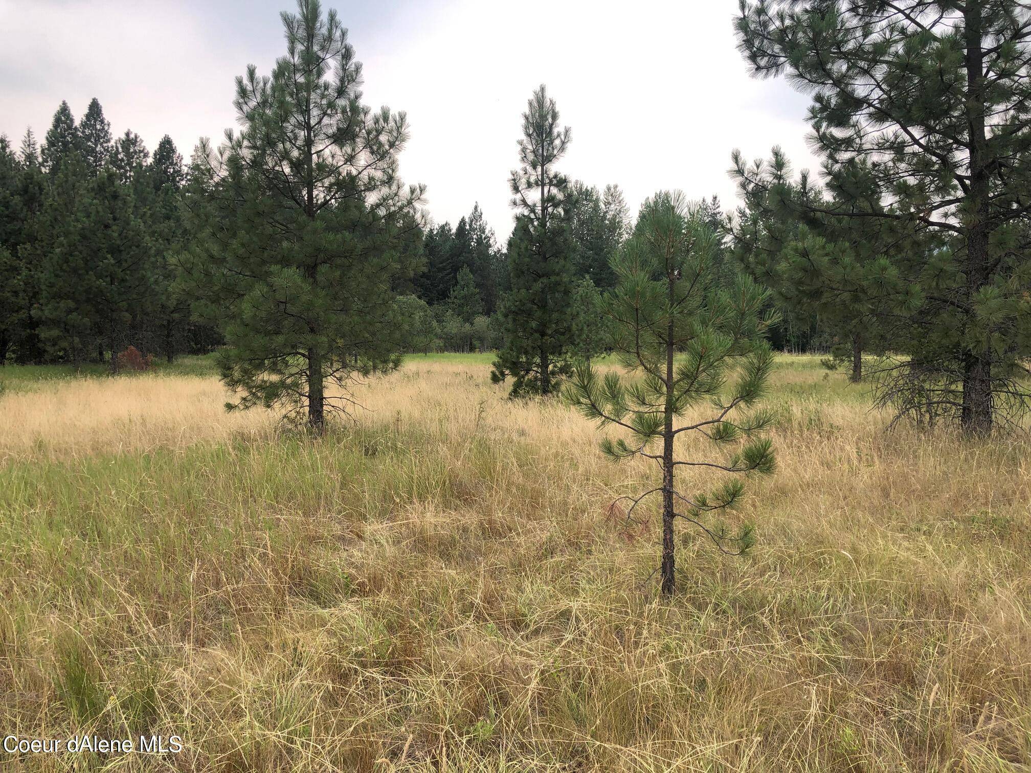 Dover, ID 83825,NNA Syringa Heights Rd