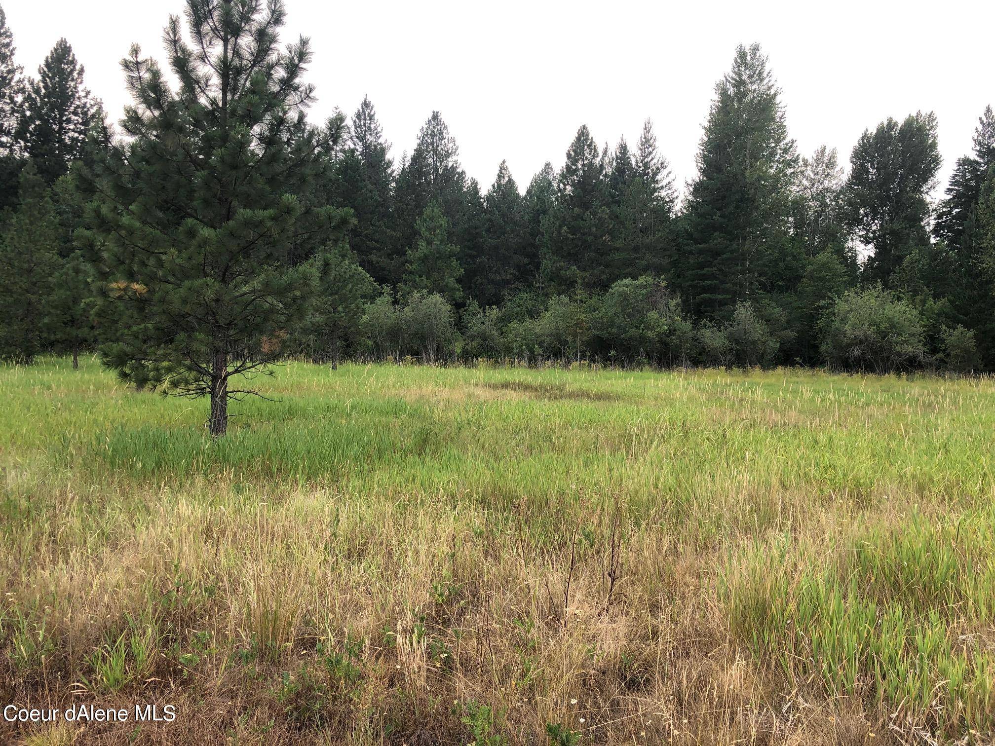 Dover, ID 83825,NNA Syringa Heights Rd