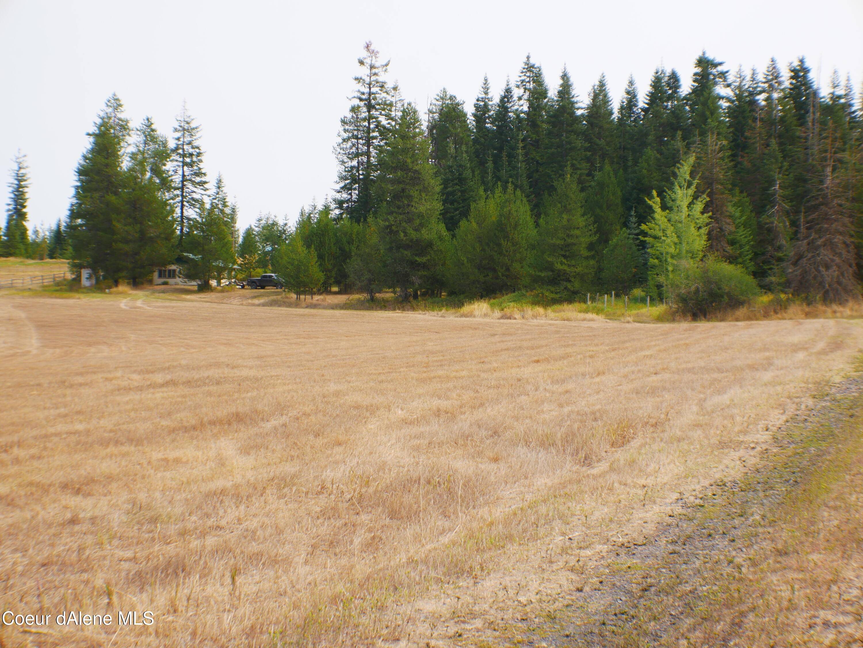 St. Maries, ID 83861,81 Mountain Pasture Drive