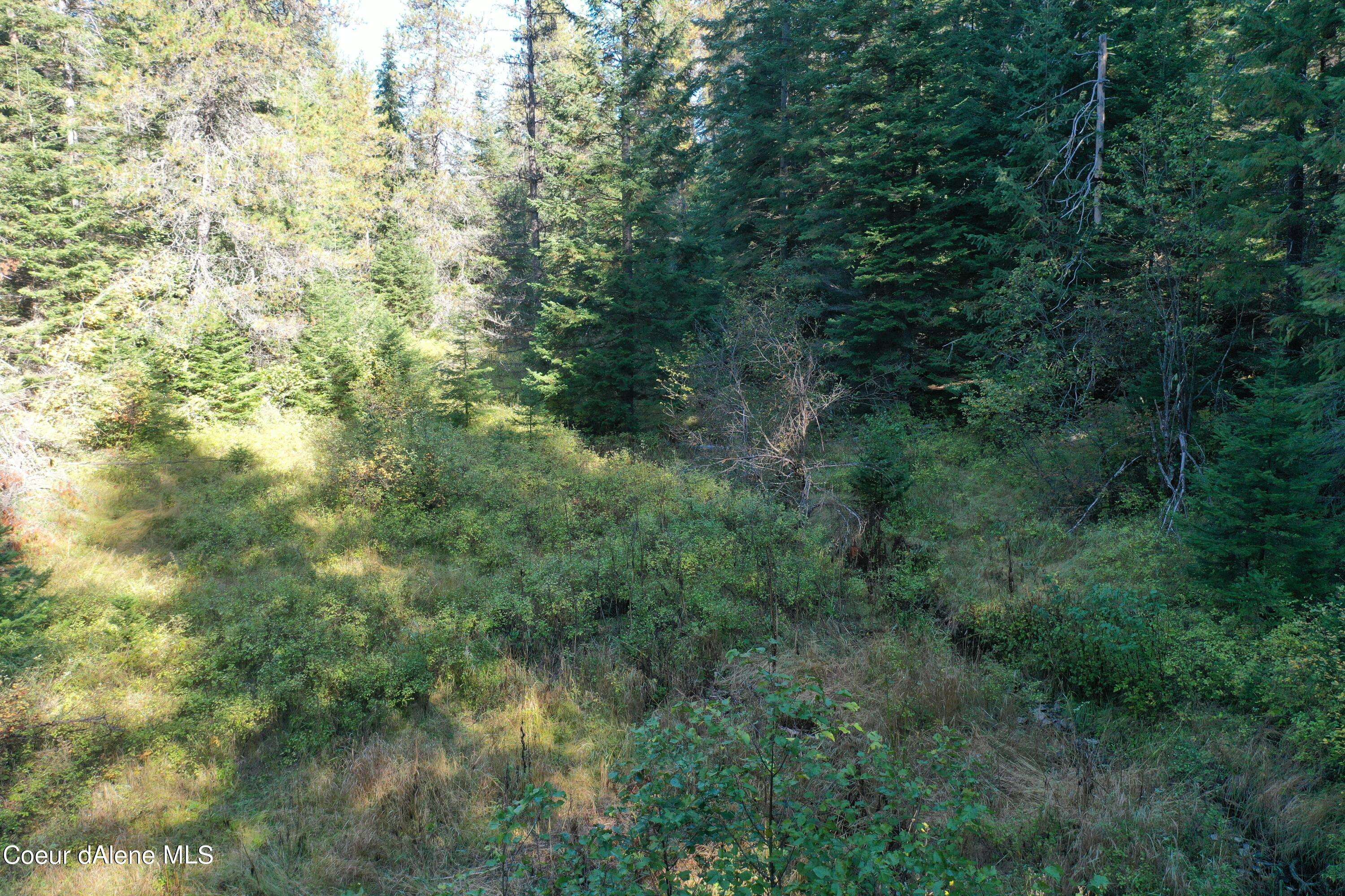 St. Maries, ID 83861,500 Jane's Ln