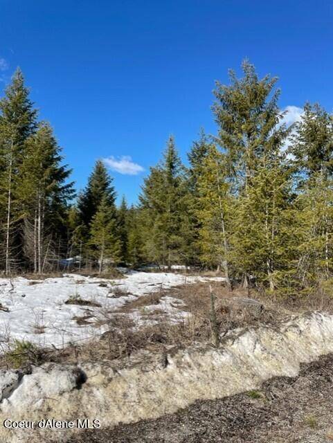 Rathdrum, ID 83858,NKA N WENDLER LOOP RD