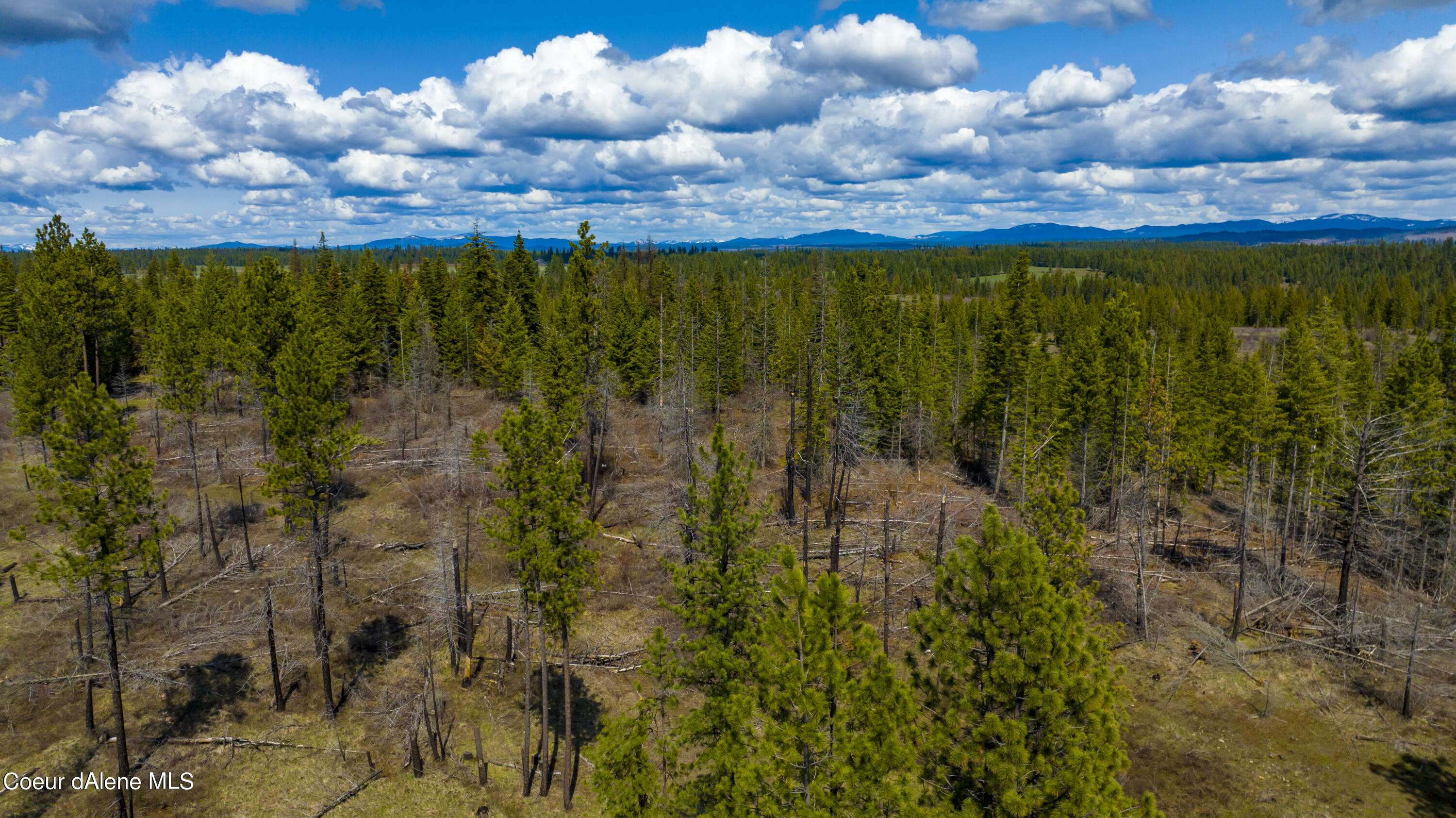 Weippe, ID 83553,NKA 20acs Hidden Valley Ln, Lot 2