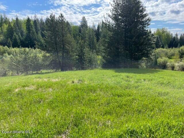 Sandpoint, ID 83864,700 Shepherds Ln