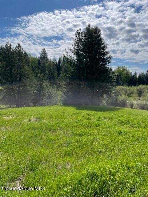 Sandpoint, ID 83864,700 Shepherds Ln