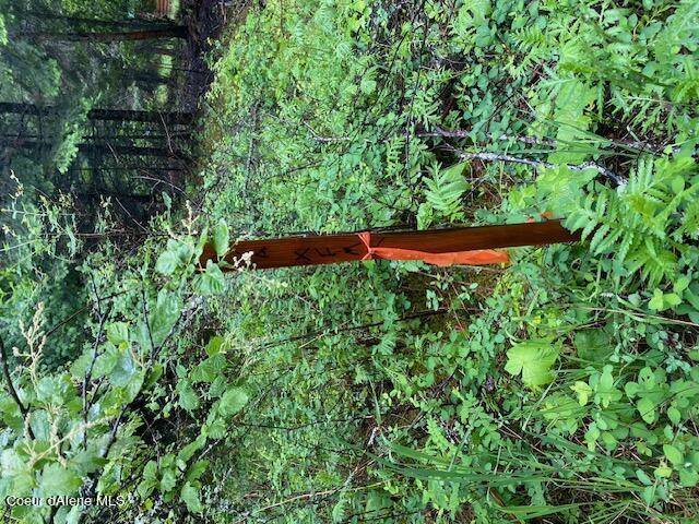 Bayview, ID 83803,Lot 18 Block 16 W Kamloops Ave