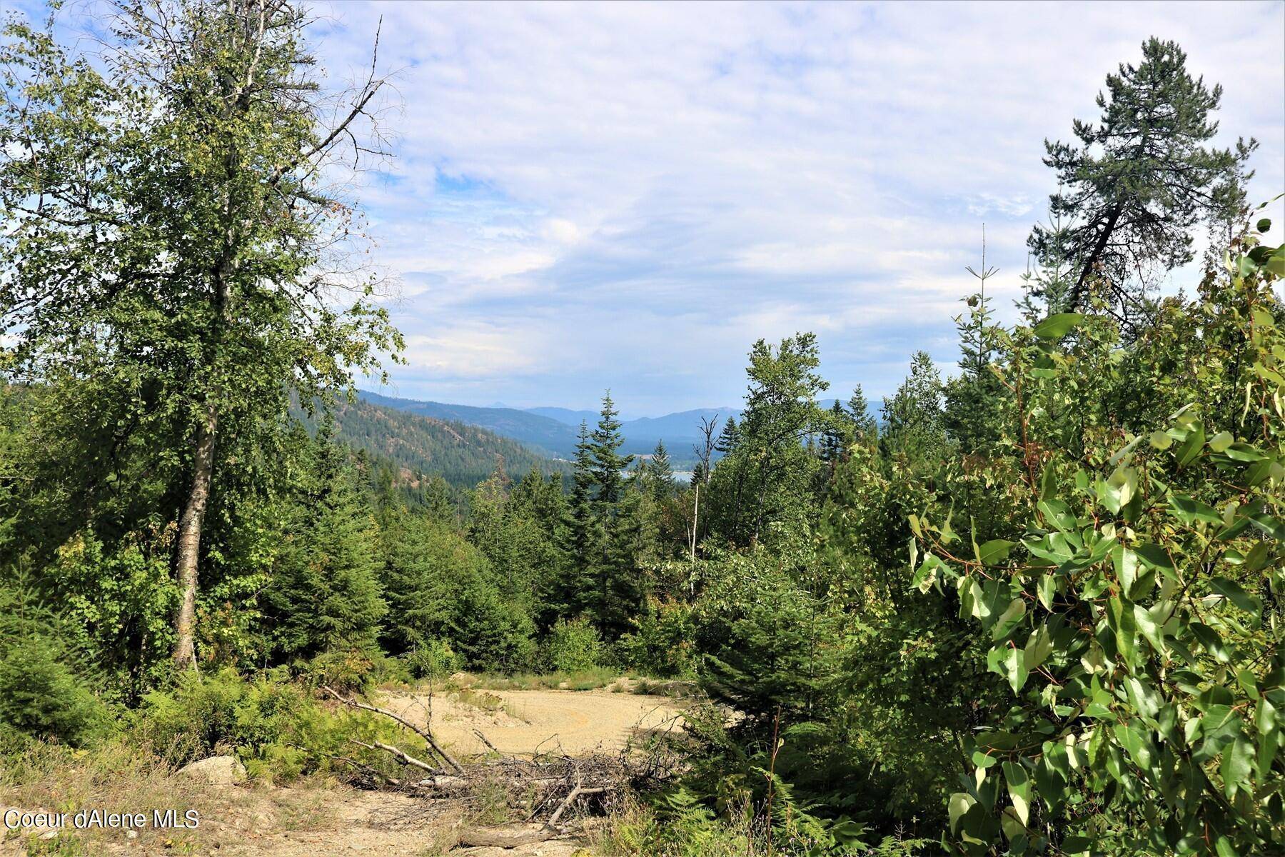 Laclede, ID 83841,10a W Manley Creek Rd