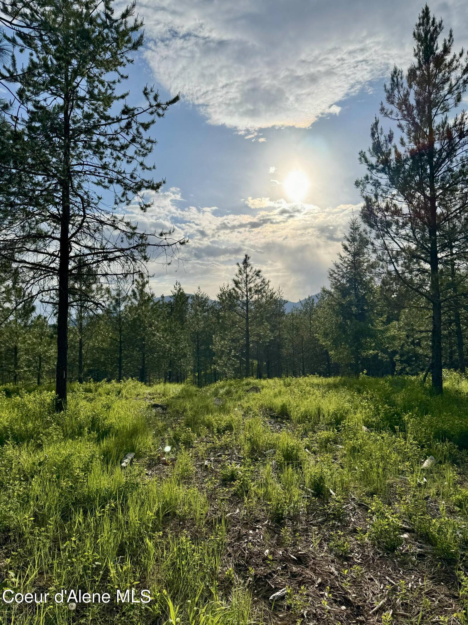 Rathdrum, ID 83858,NKA Lot 2 Block 1 Aubrey Estates