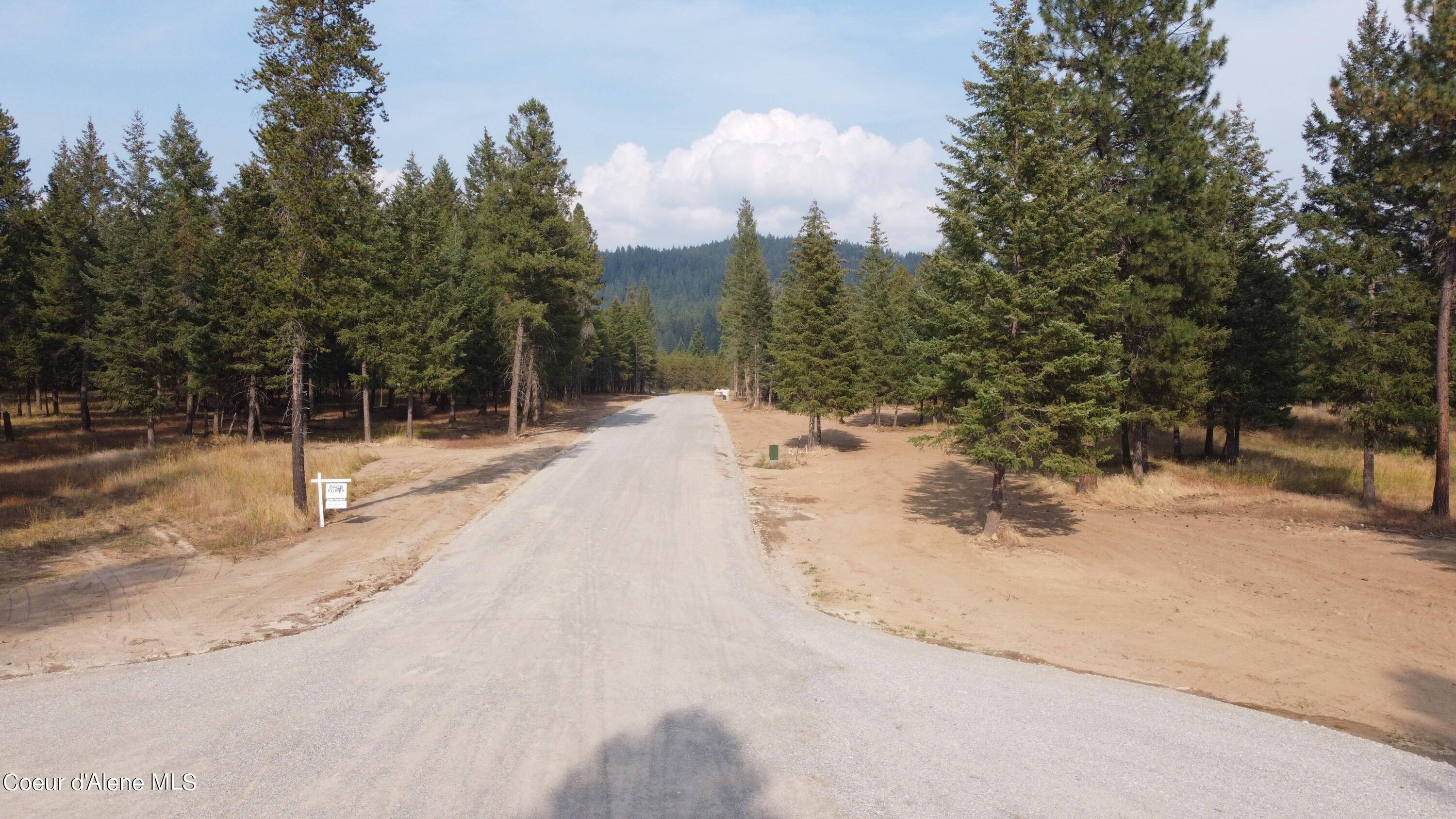 Athol, ID 83801,Lot 2 #1 Mohawk Dr