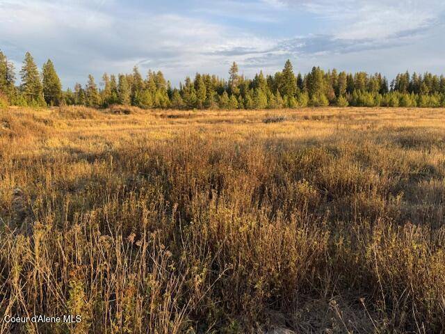 Fernwood, ID 83830,NNA 2.5 Acres