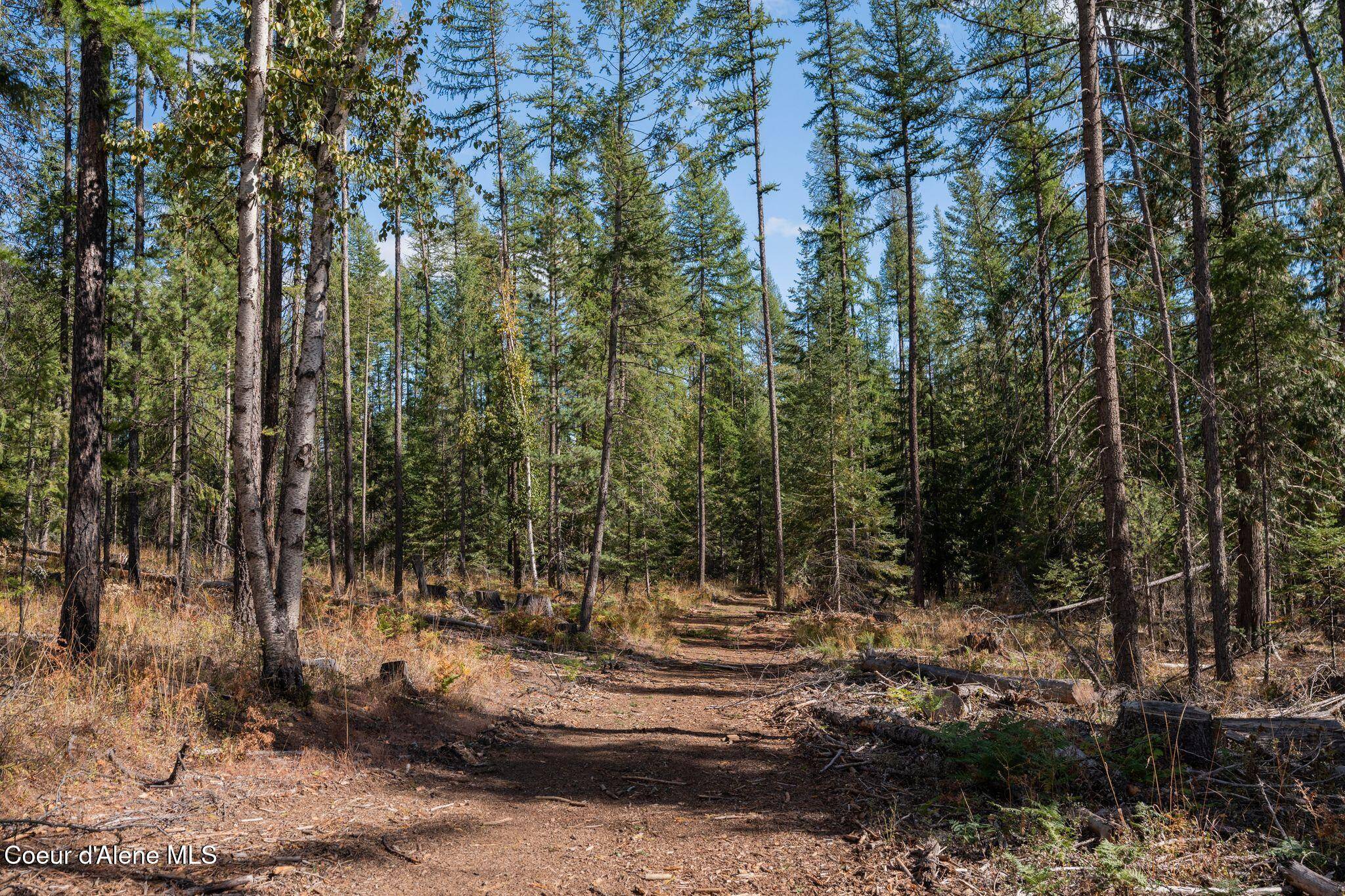 Priest River, ID 83856,Lot 1 Gunsmoke Lane