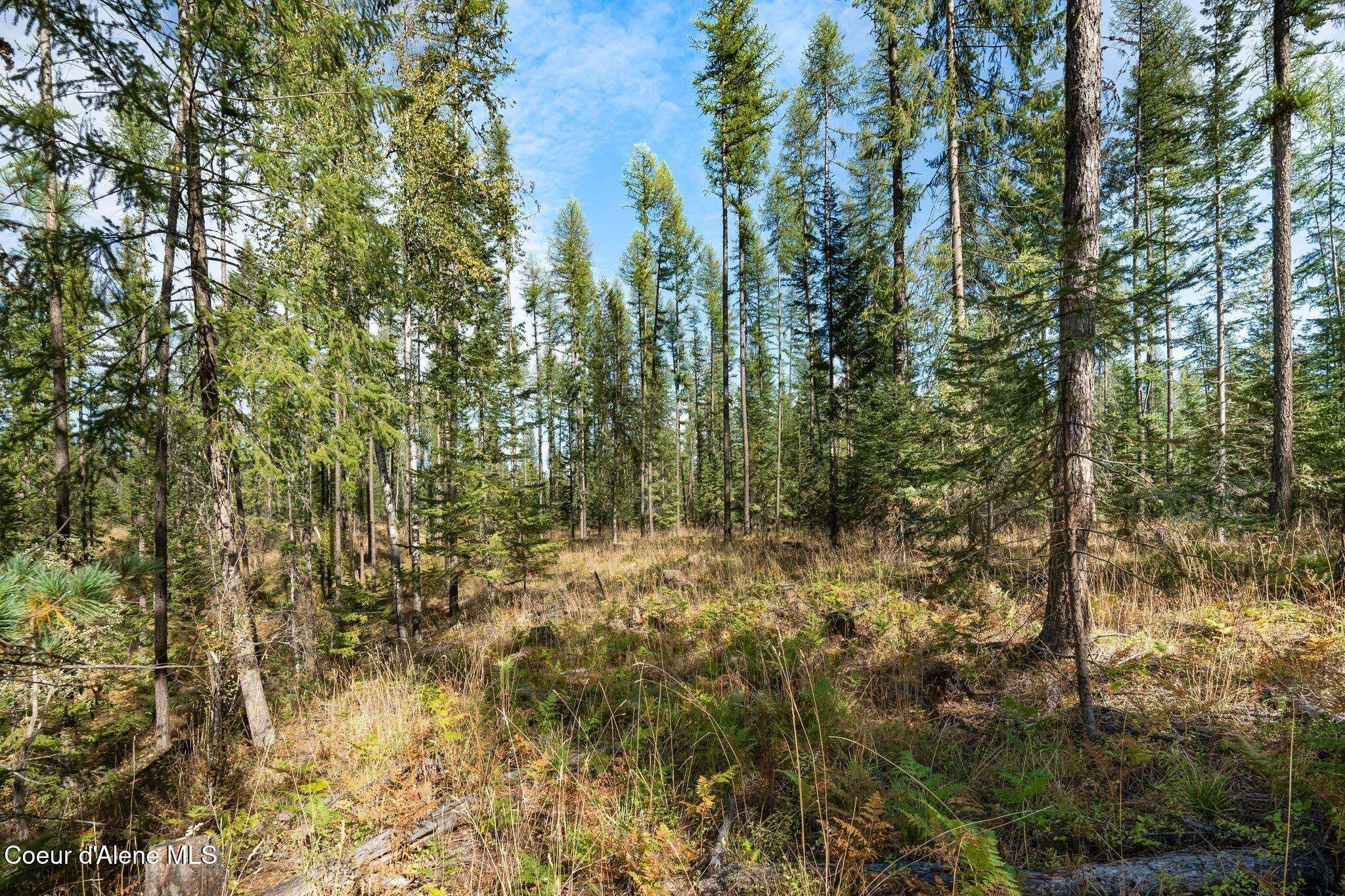 Priest River, ID 83856,Lot 2 Gunsmoke Lane