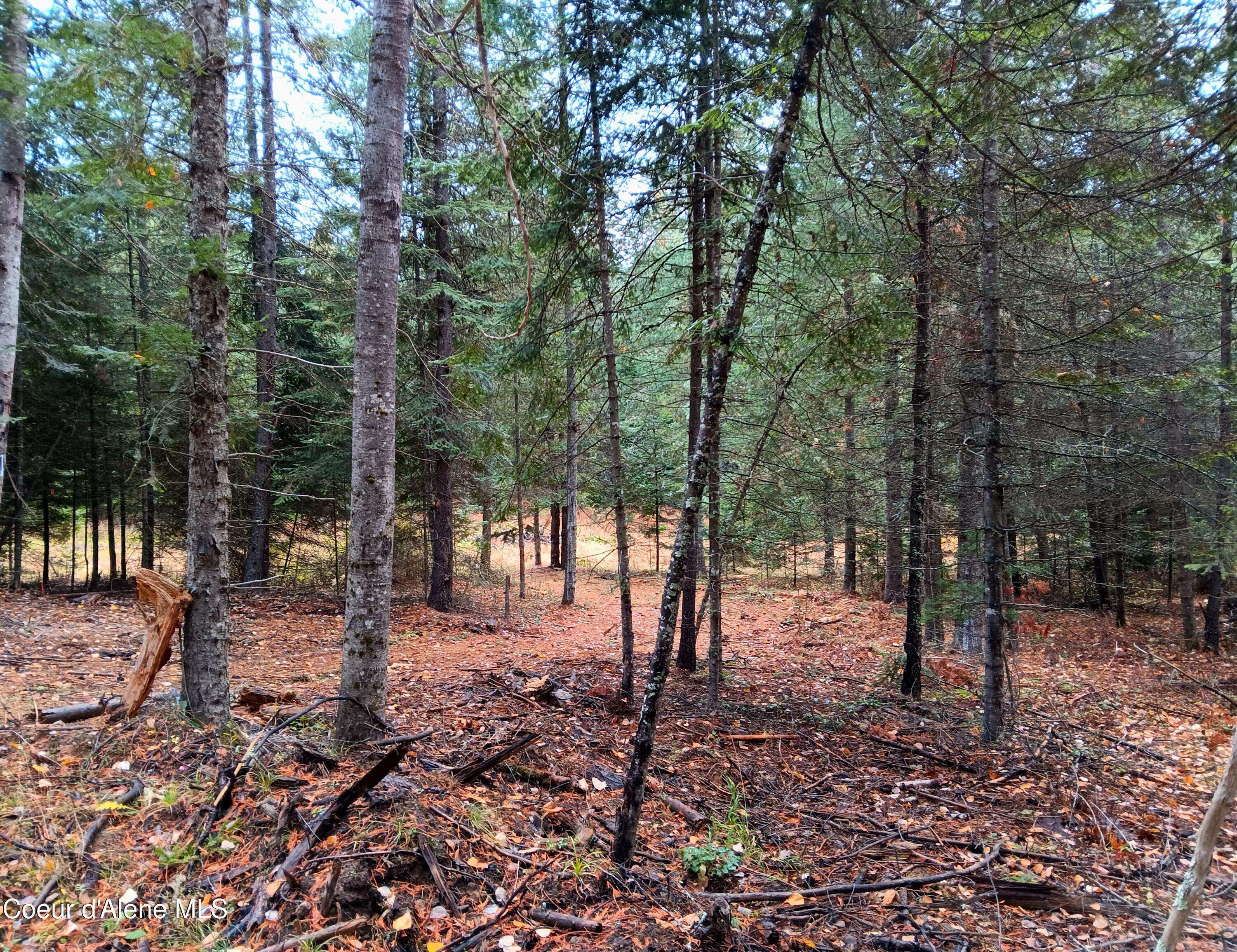 Sagle, ID 83860,NNA Green Bay Rd - Lot 2