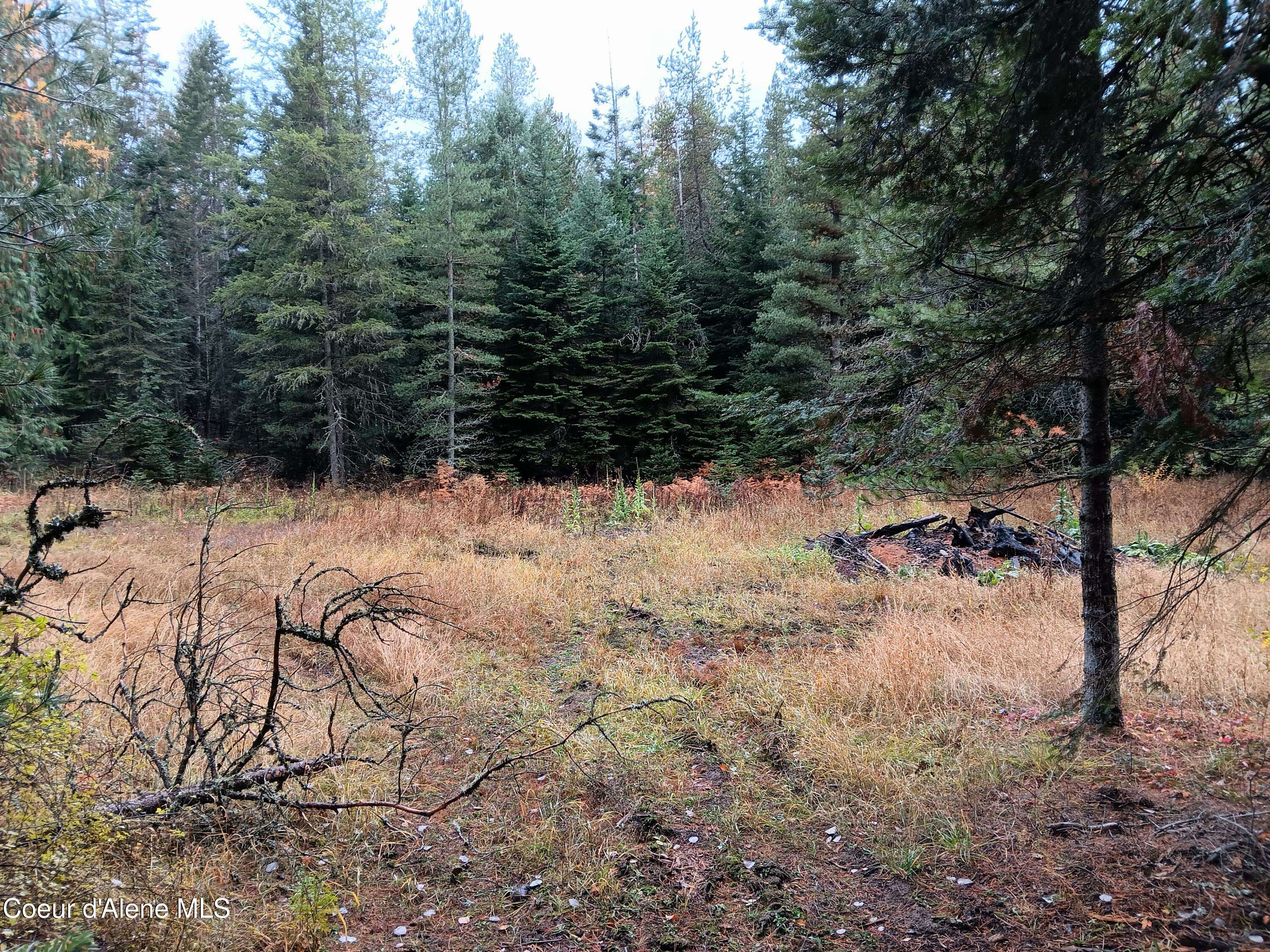 Sagle, ID 83860,NNA Green Bay Rd - Lot 2