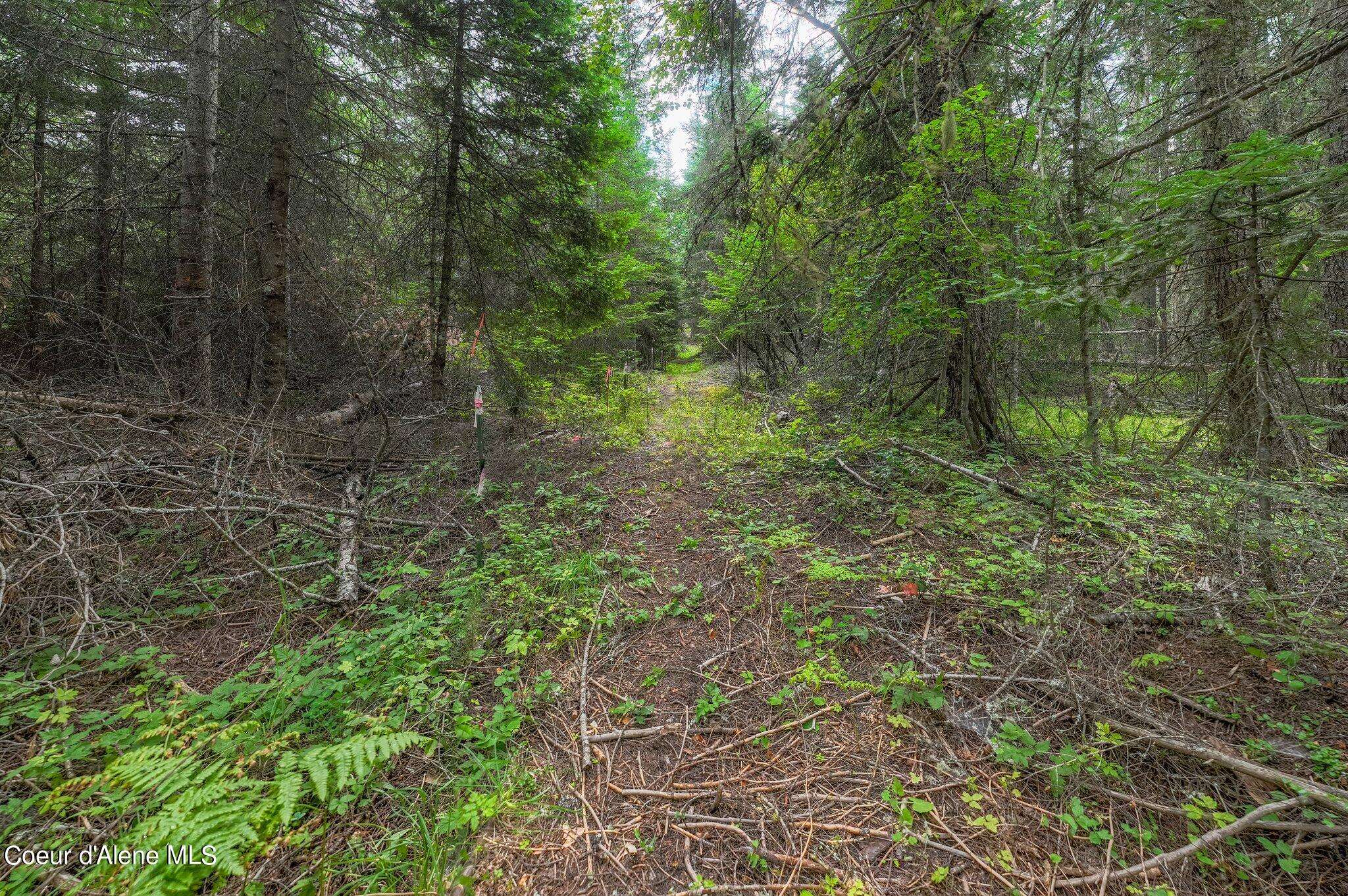 Sagle, ID 83860,NNA Green Bay Rd - Lot 1