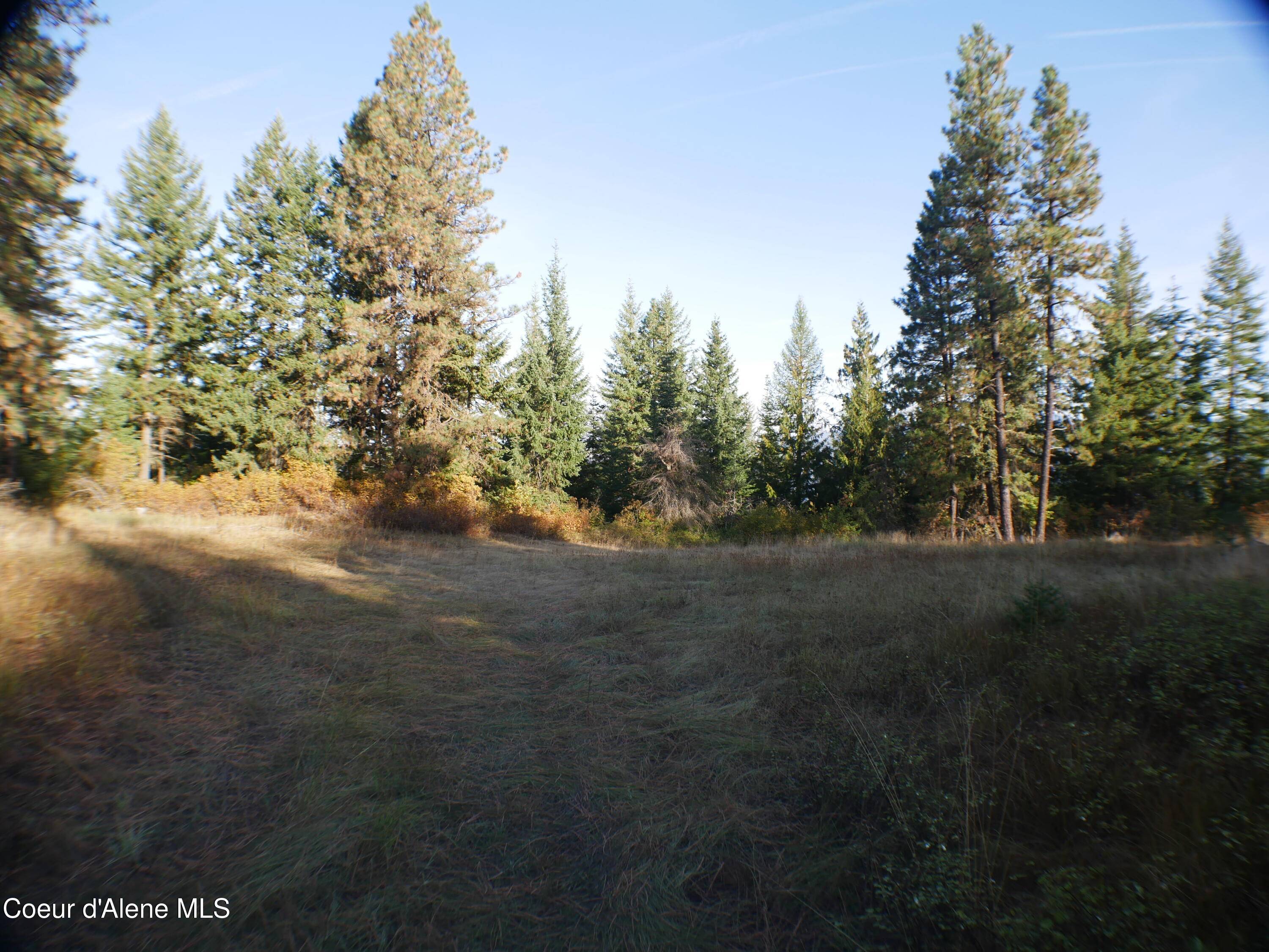 St. Maries, ID 83861,Mutch Creek Road (Parcel 5)