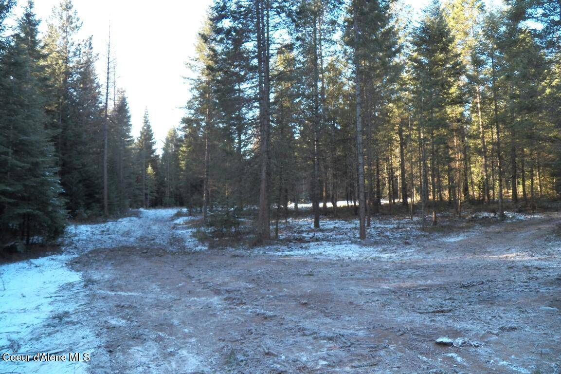 Careywood, ID 83809,NNA Huckleberry Mtn. Road