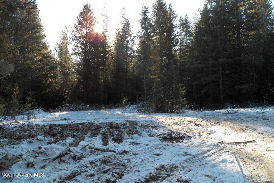 Careywood, ID 83809,NNA Huckleberry Mtn. Road