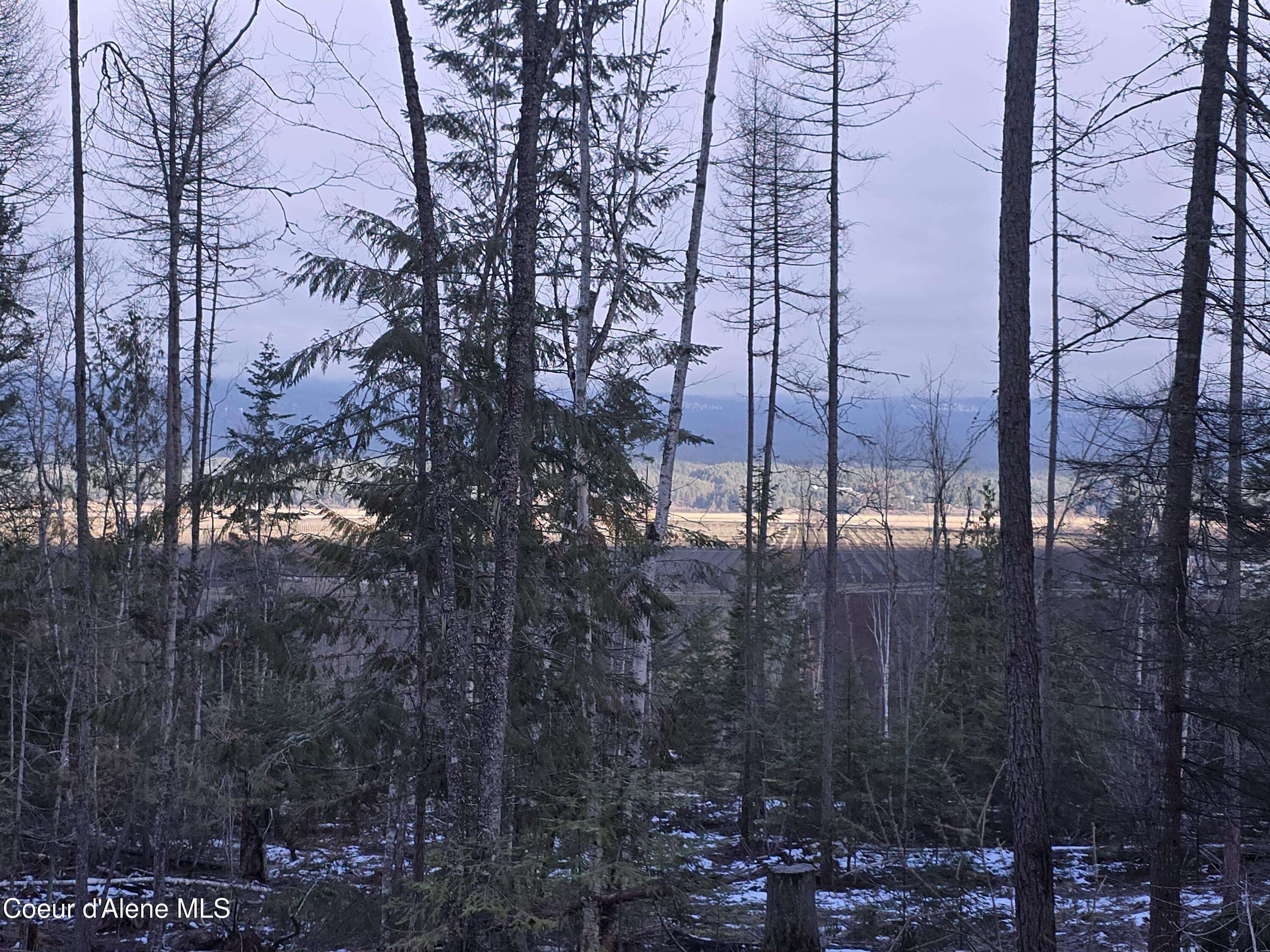 Bonners Ferry, ID 83805,NNA WEST SIDE RD PARCEL 5
