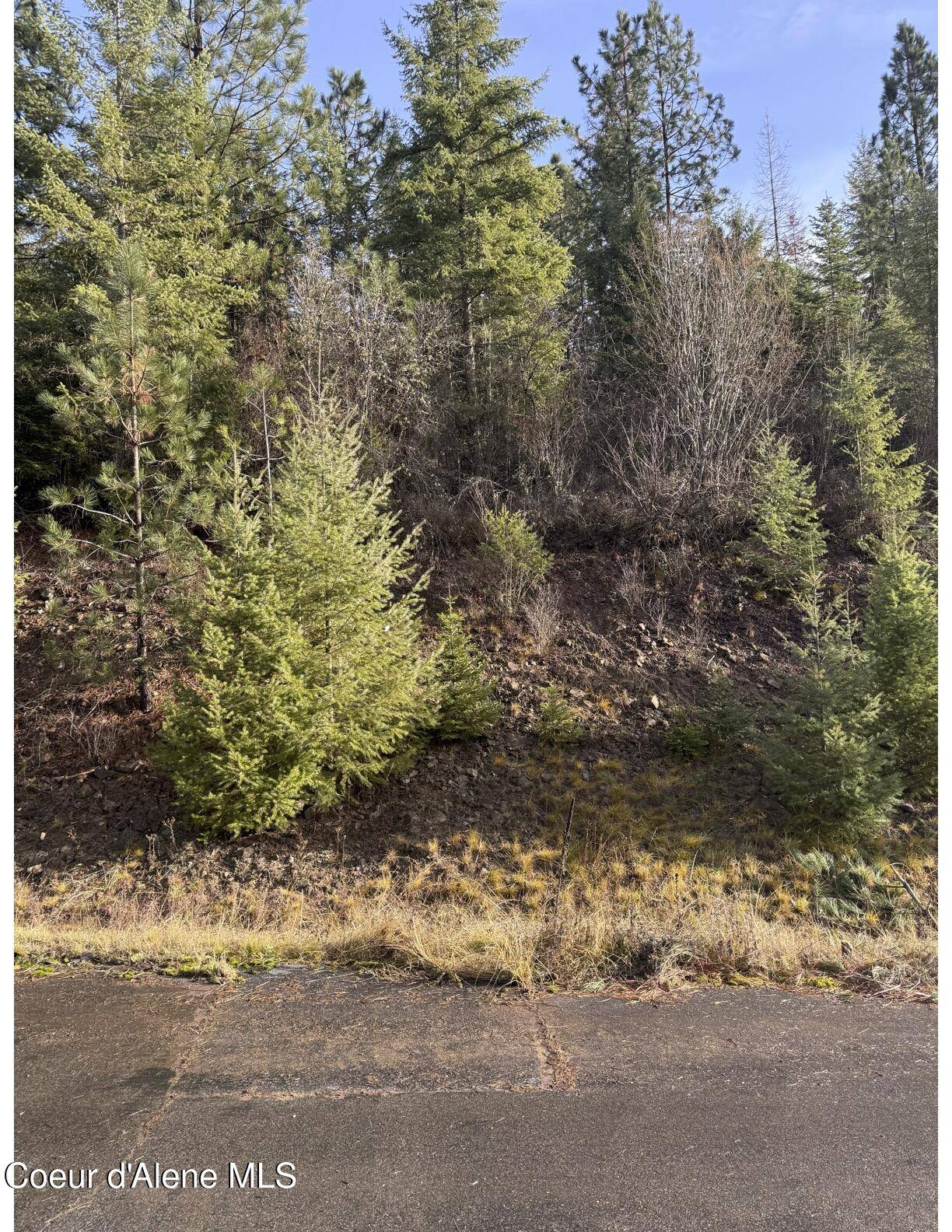 Harrison, ID 83833,Lot 20 Flying Eagle Dr