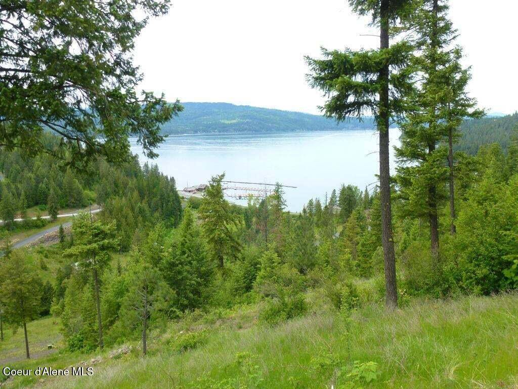 Harrison, ID 83833,Lot 6 Flying Eagle Dr