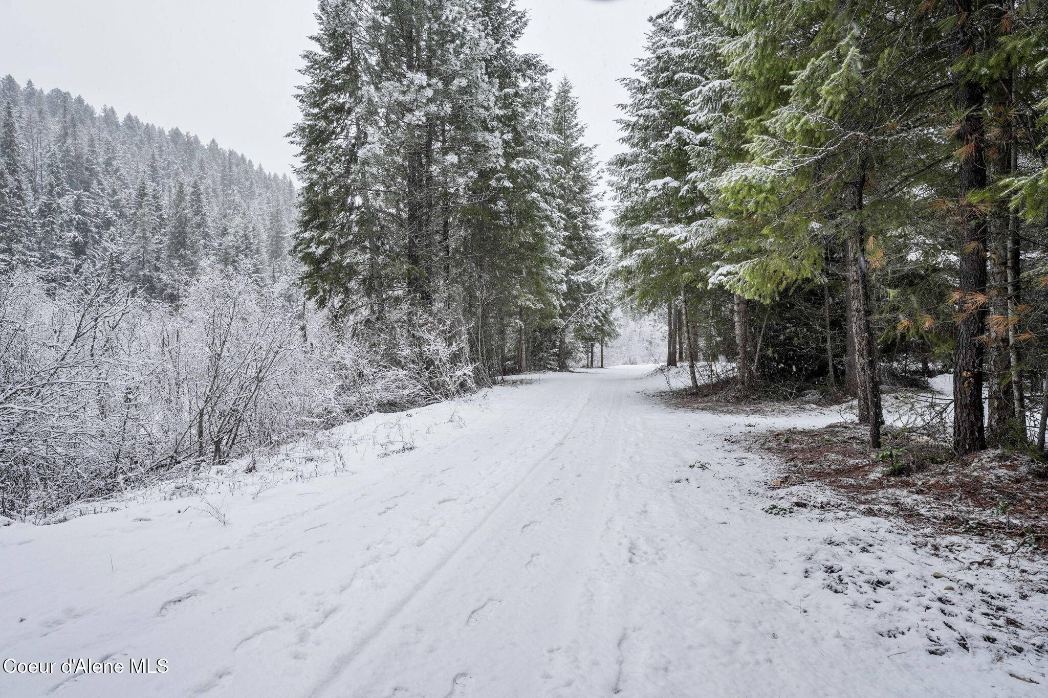 Priest River, ID 83856,9XX E River Spur Rd