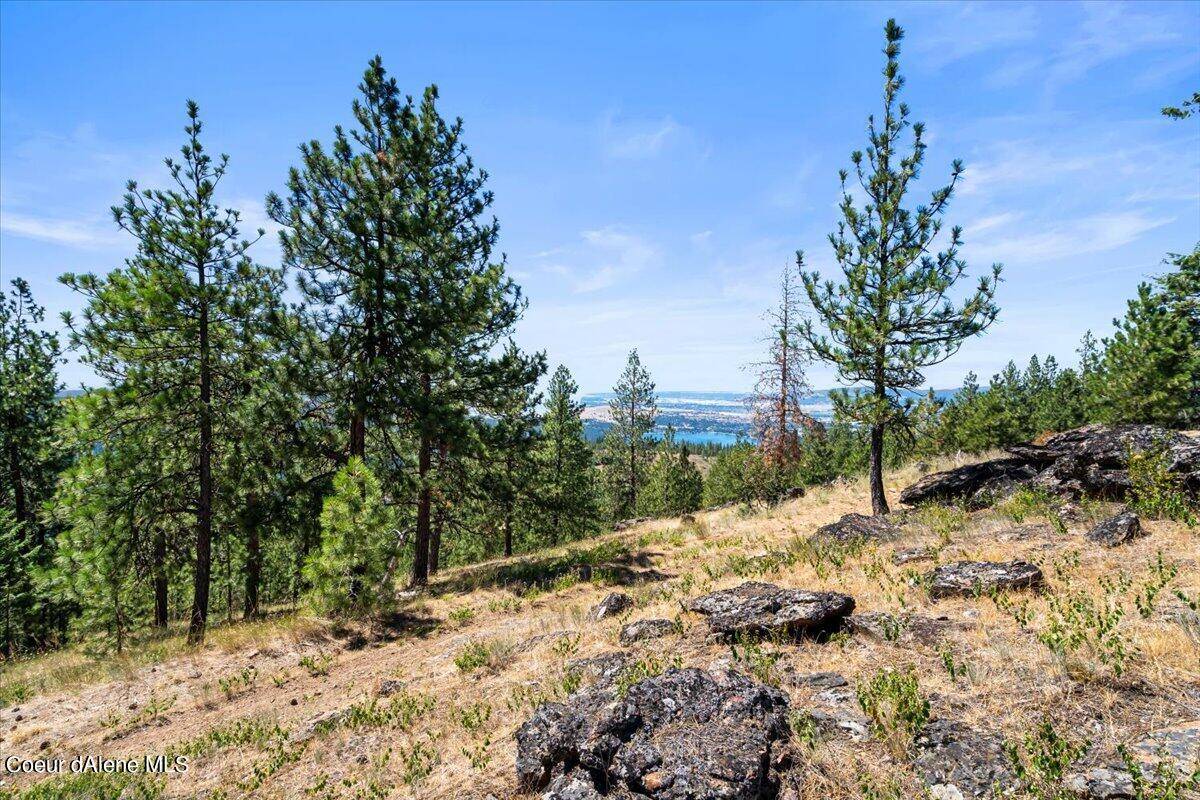 Post Falls, ID 83854,NKA - 20 Acres Hyatt Hills