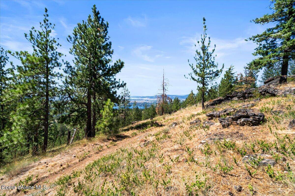 Post Falls, ID 83854,NKA - 20 Acres Hyatt Hills