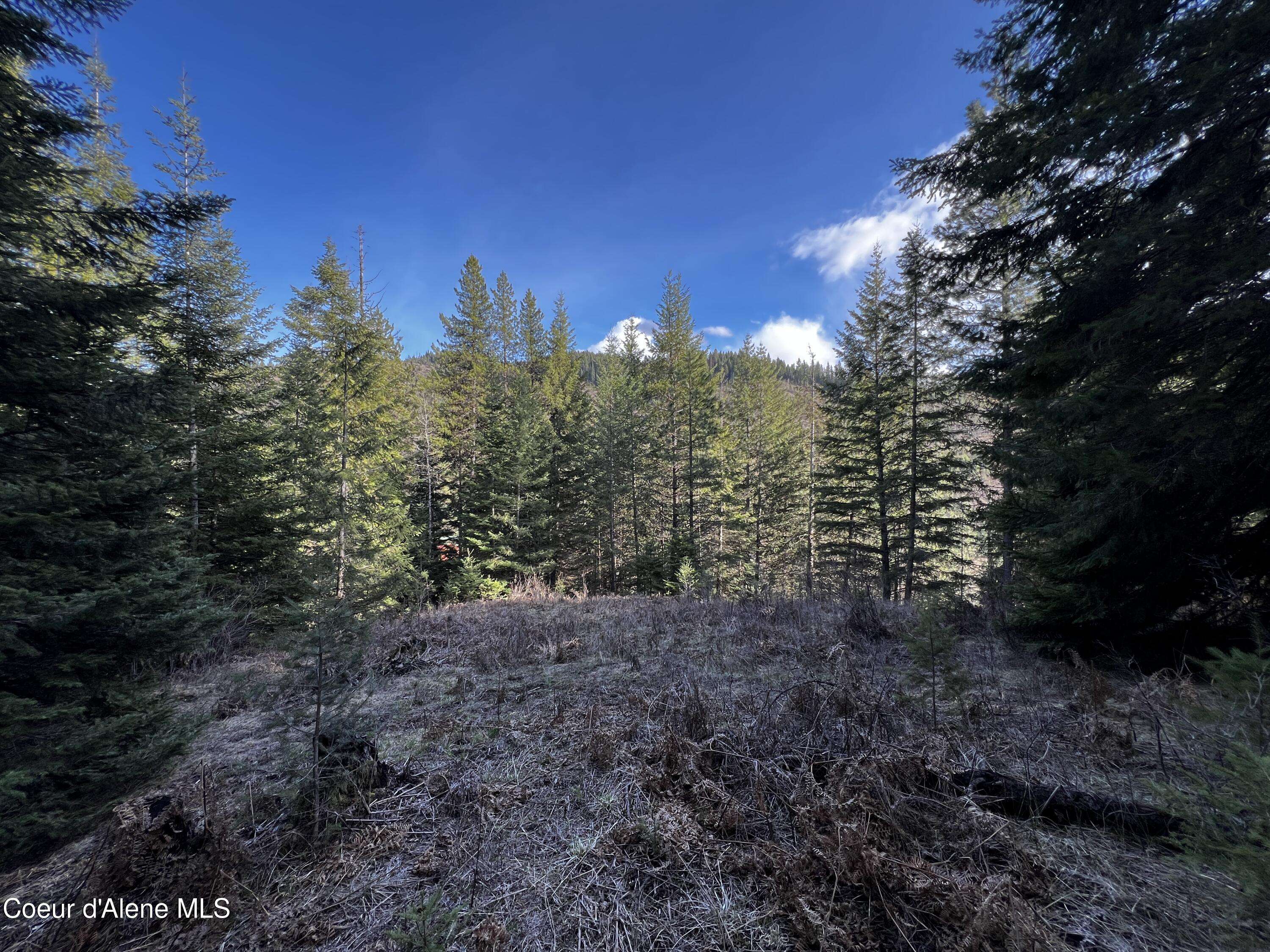 Kingston, ID 83839,2.42 Acres Bear Creek Rd