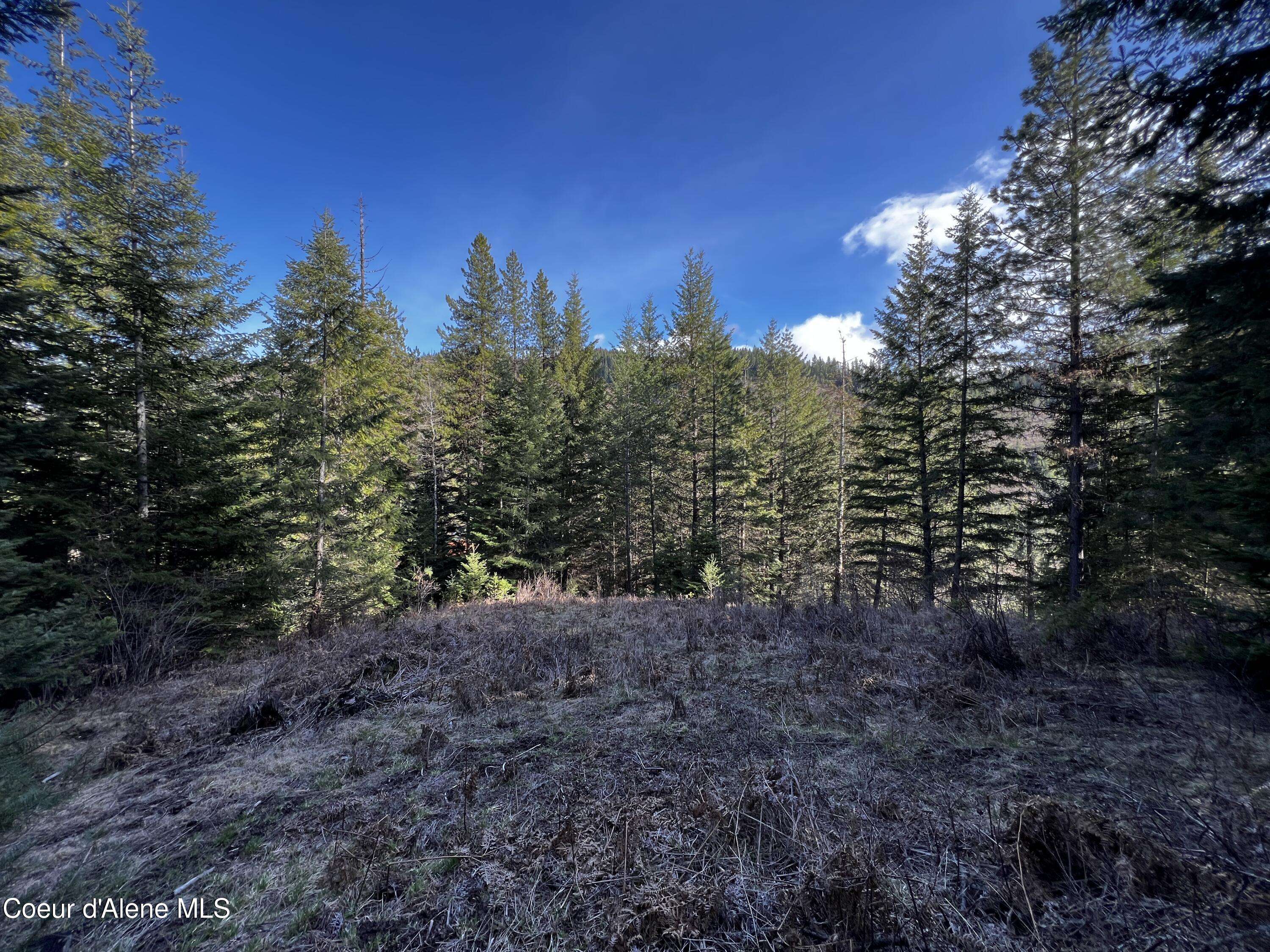 Kingston, ID 83839,2.42 Acres Bear Creek Rd