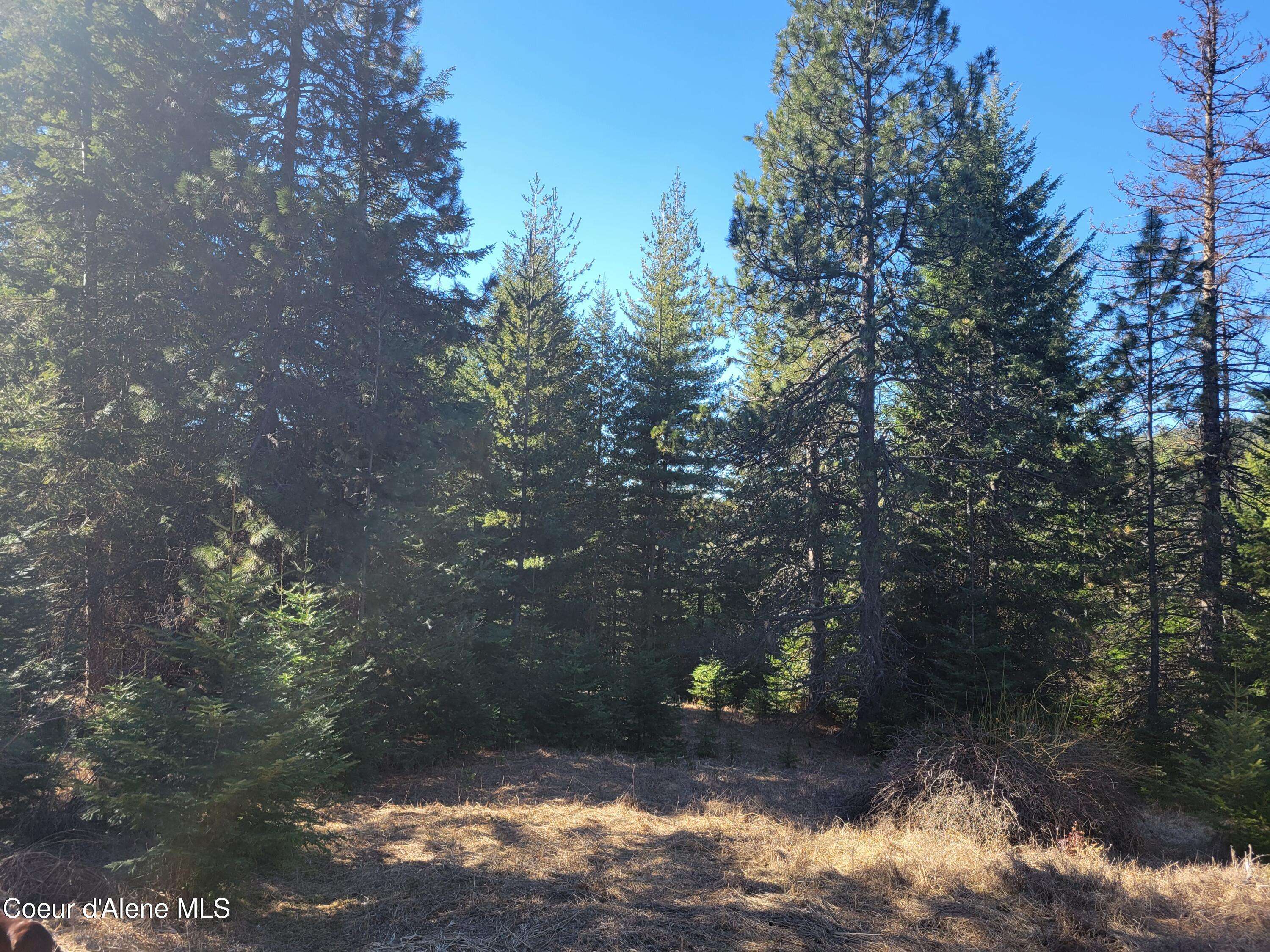 Coeur d'Alene, ID 83814,NKA E Hanna Lane Lot 1