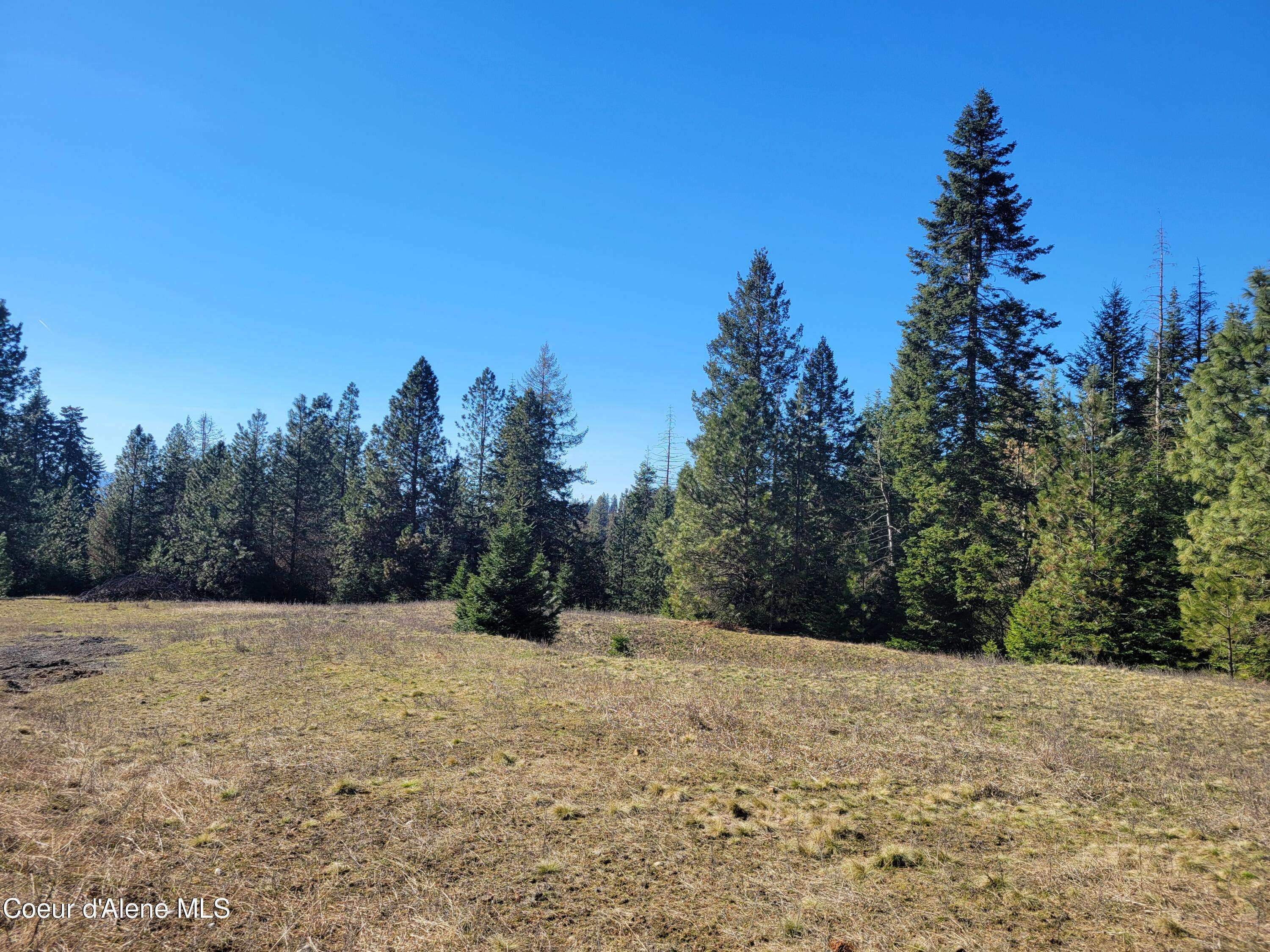 Coeur d'Alene, ID 83814,NKA E Hanna Lane Lot 1