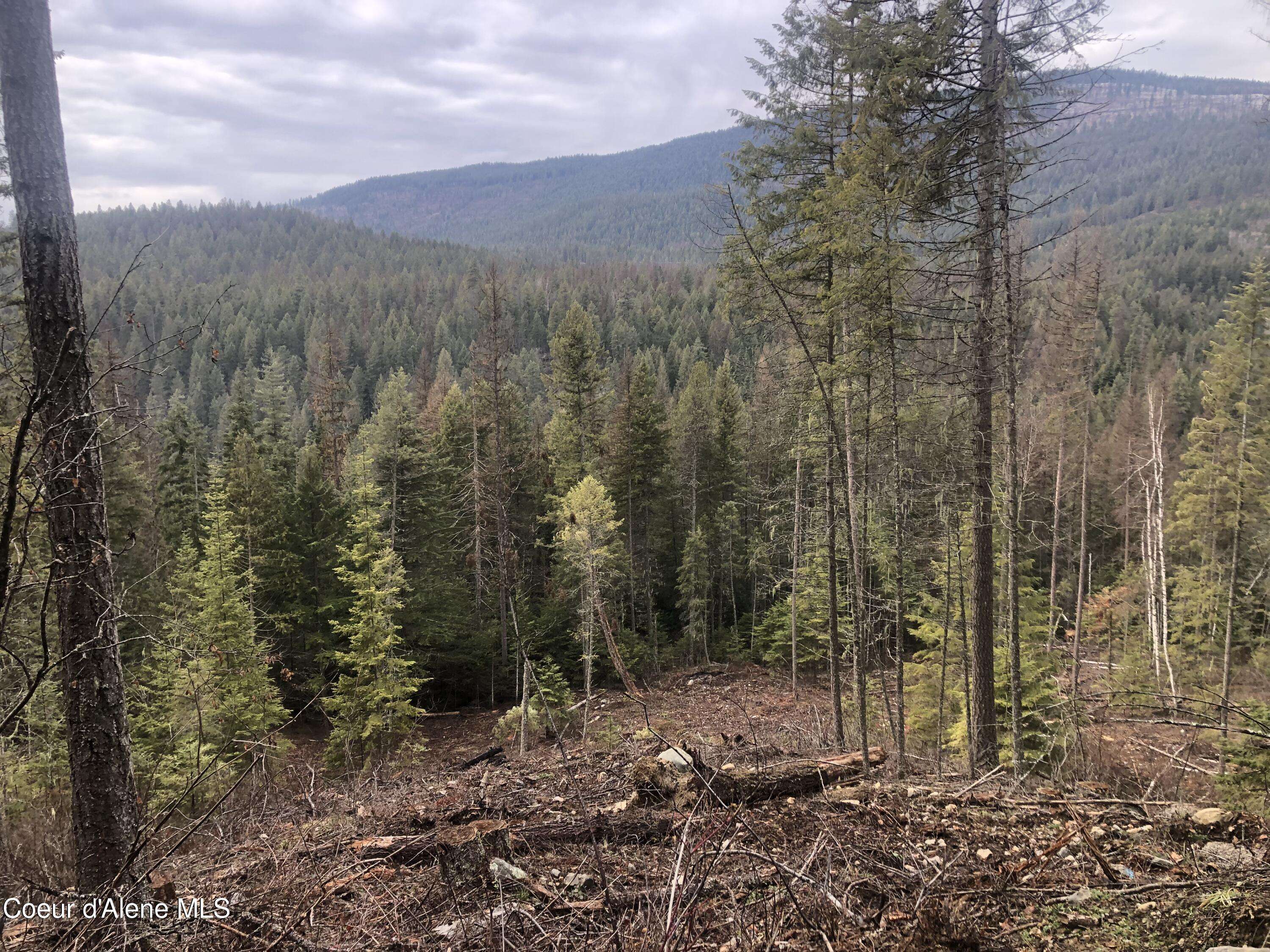 Moyie Springs, ID 83845,NKA Tuin Road