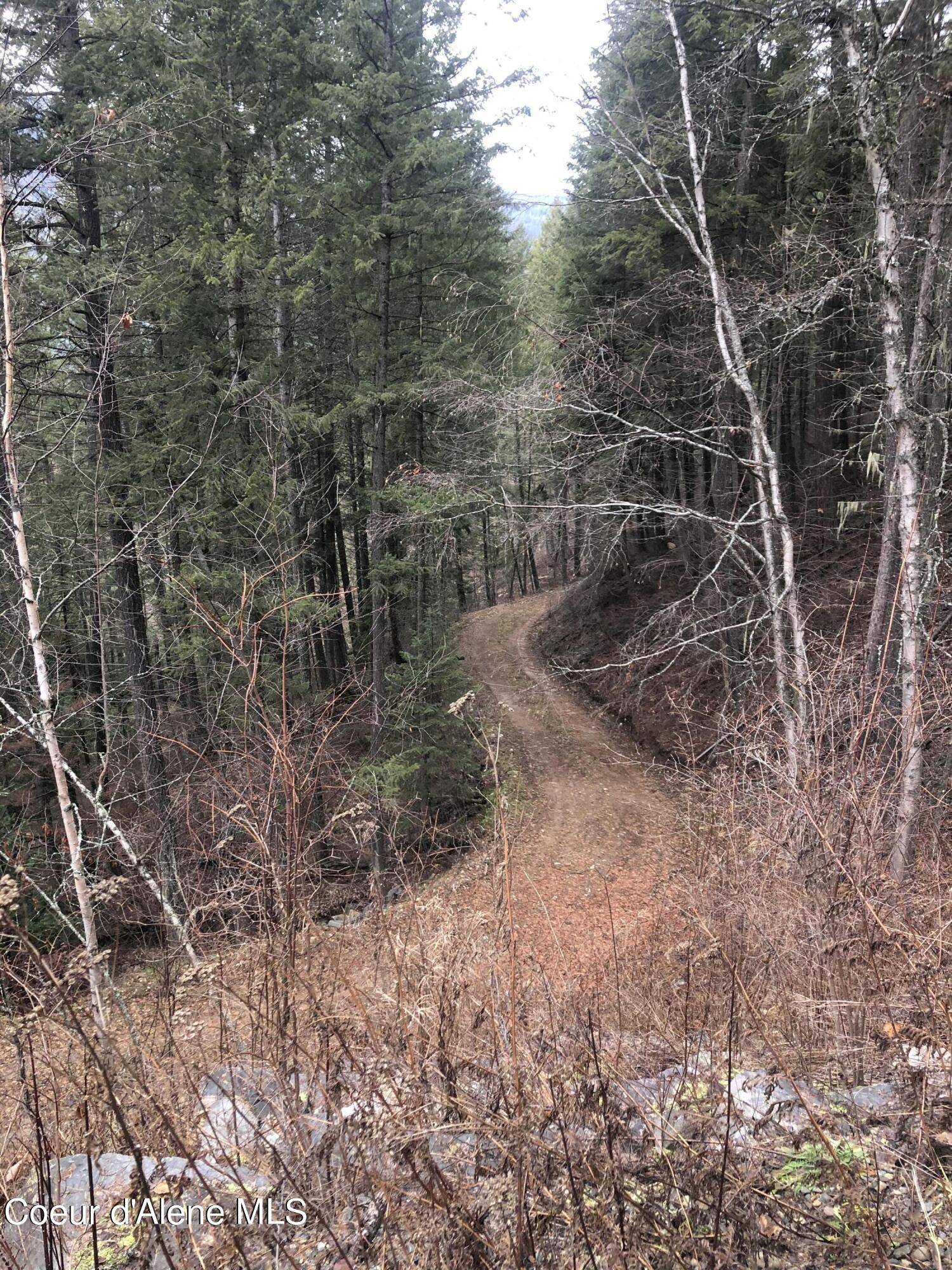 Moyie Springs, ID 83845,NKA Tuin Road